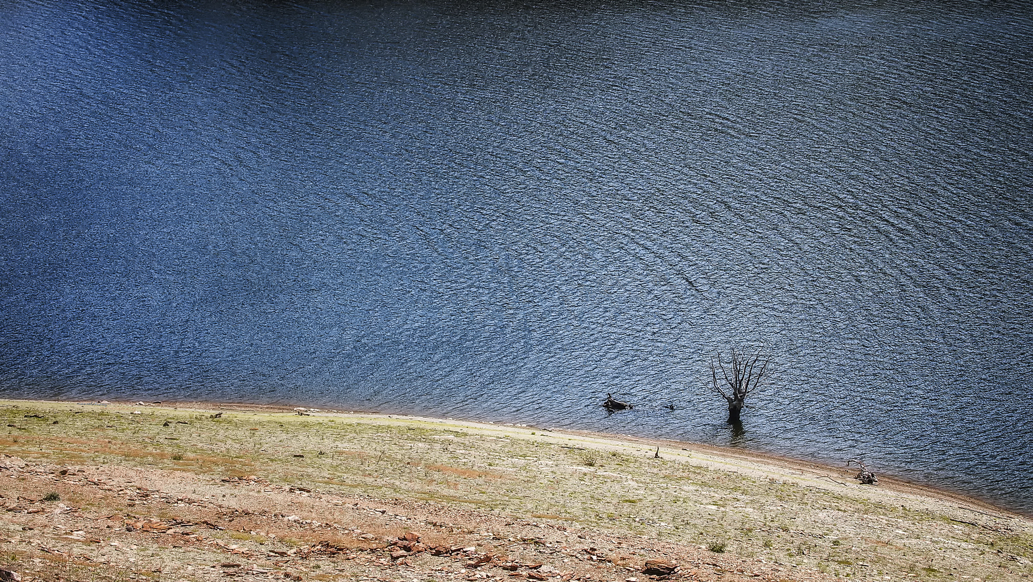 Olympus PEN E-P3 sample photo. Na  beira. photography