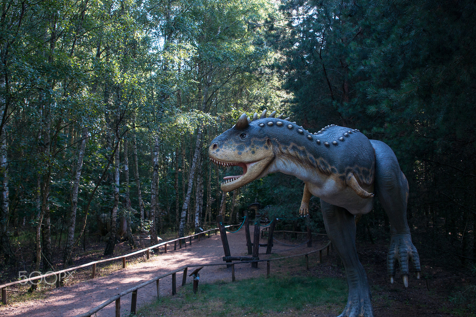 Sony Alpha DSLR-A700 + 24-70mm F2.8 sample photo. Dino photography