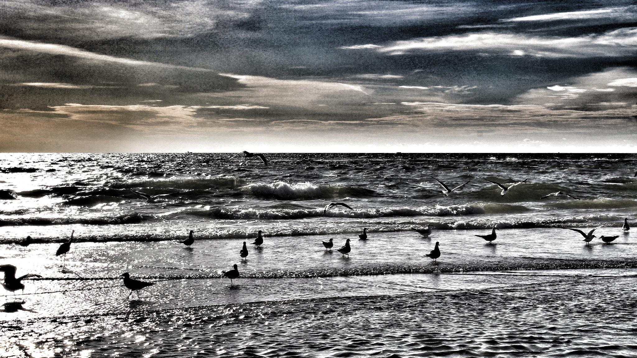Canon EF-S 18-55mm F3.5-5.6 IS II sample photo. St. pete beach photography