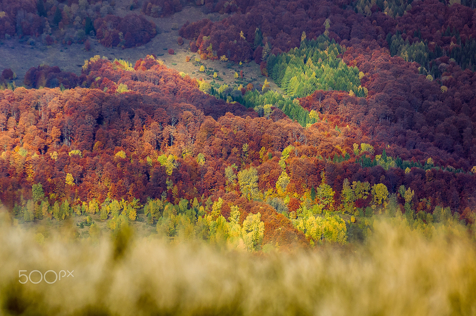 Pentax K-x + Tamron AF 70-300mm F4-5.6 Di LD Macro sample photo. Autumn in bieszczady photography