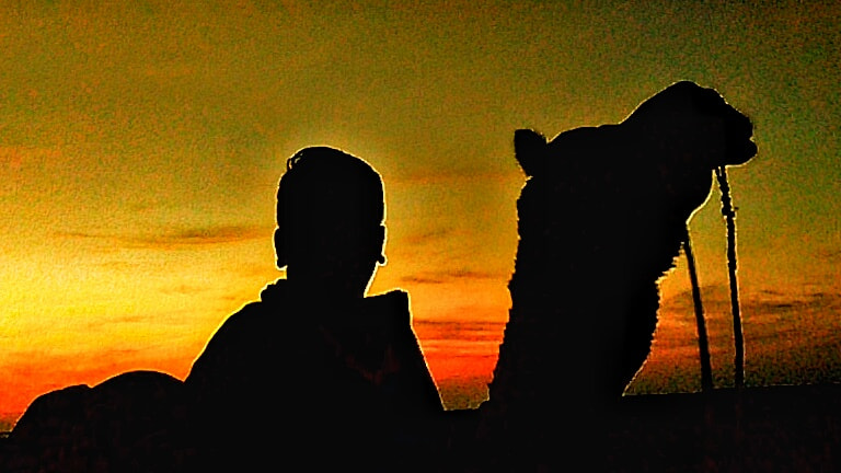 HTC Desire 816 dual sim sample photo. Jaisalmer desert safari, rajasthan photography