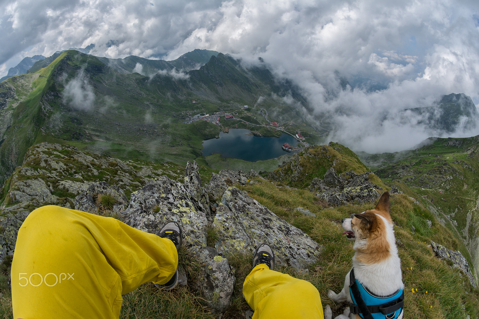 Nikon AF DX Fisheye-Nikkor 10.5mm F2.8G ED sample photo. Self portrait of hiker sitting in the grass with his dog and loo photography