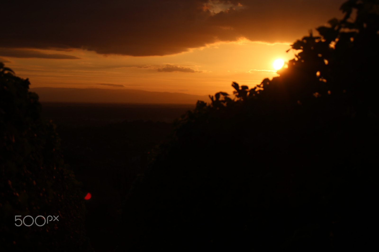 Canon EOS 750D (EOS Rebel T6i / EOS Kiss X8i) + Canon TS-E 90mm F2.8 Tilt-Shift sample photo. Germany blackforest photography