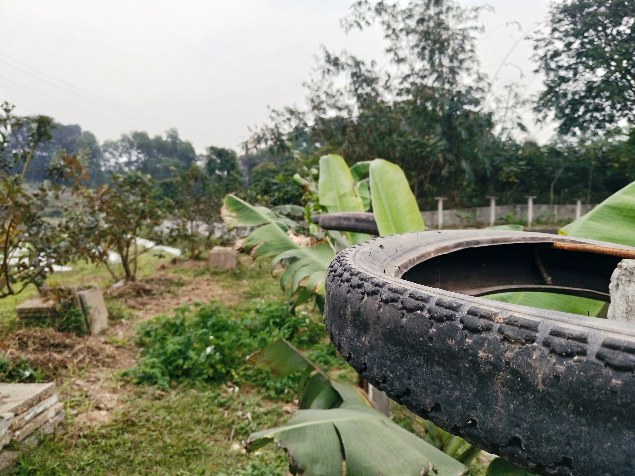 Sony Xperia M5 Dual sample photo. 24497202354.jpg photography