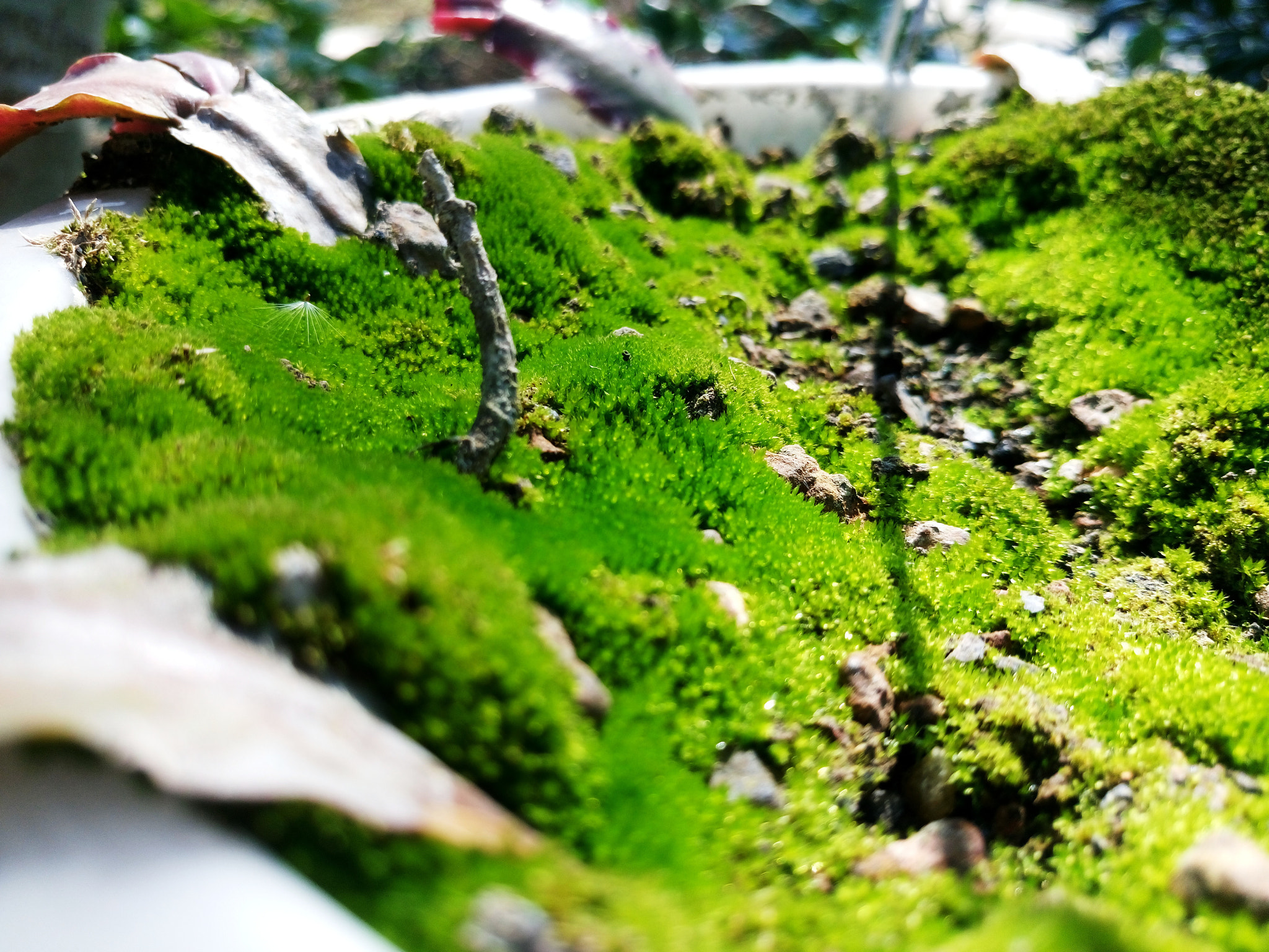 Sony Xperia M5 Dual sample photo. 24832176280.jpg photography