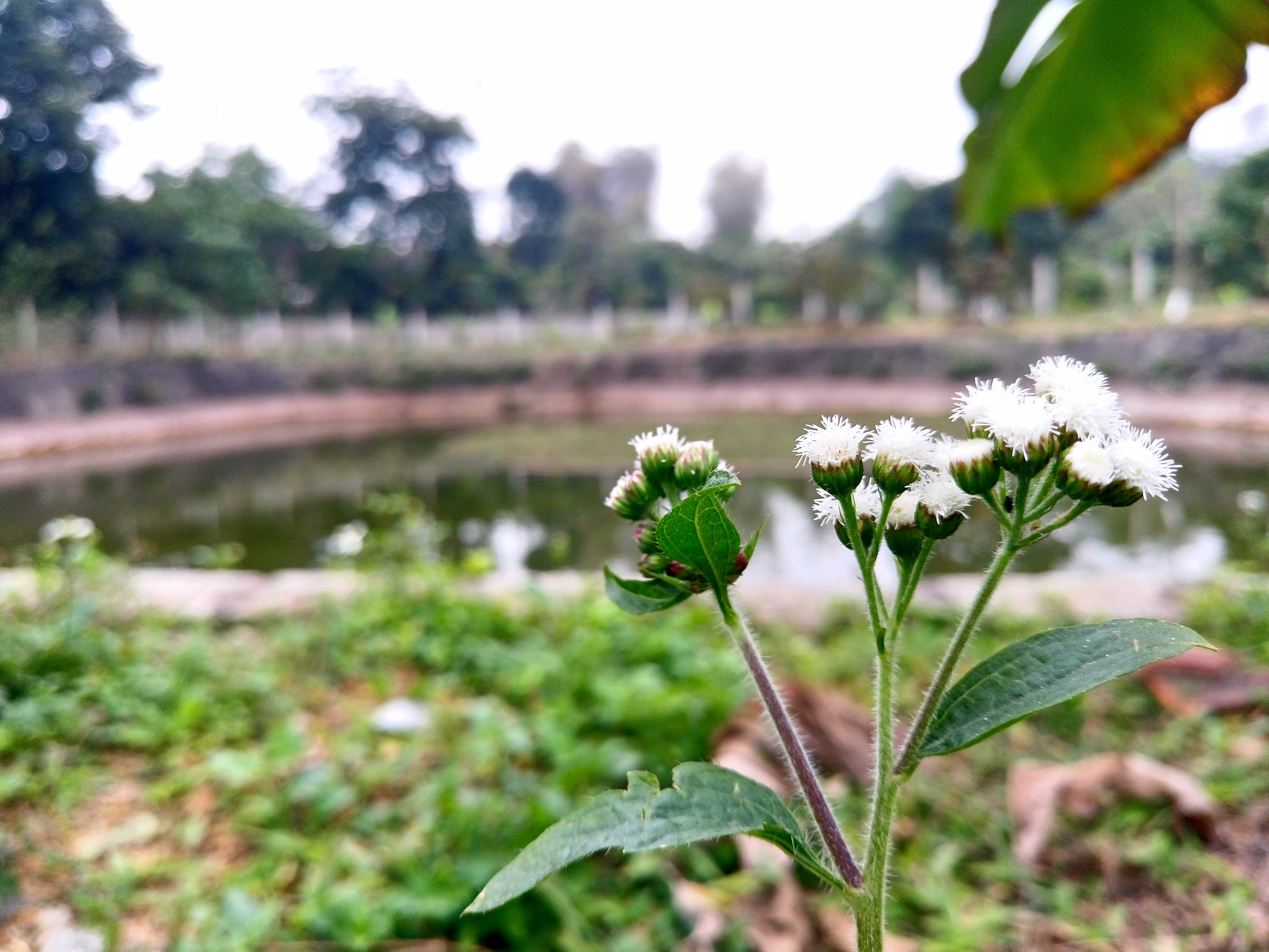Sony Xperia M5 Dual sample photo. 25009906712.jpg photography