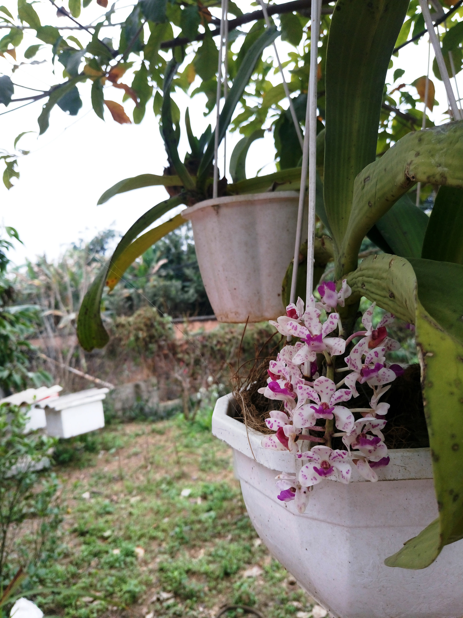 Sony Xperia M5 Dual sample photo. 25034595431.jpg photography