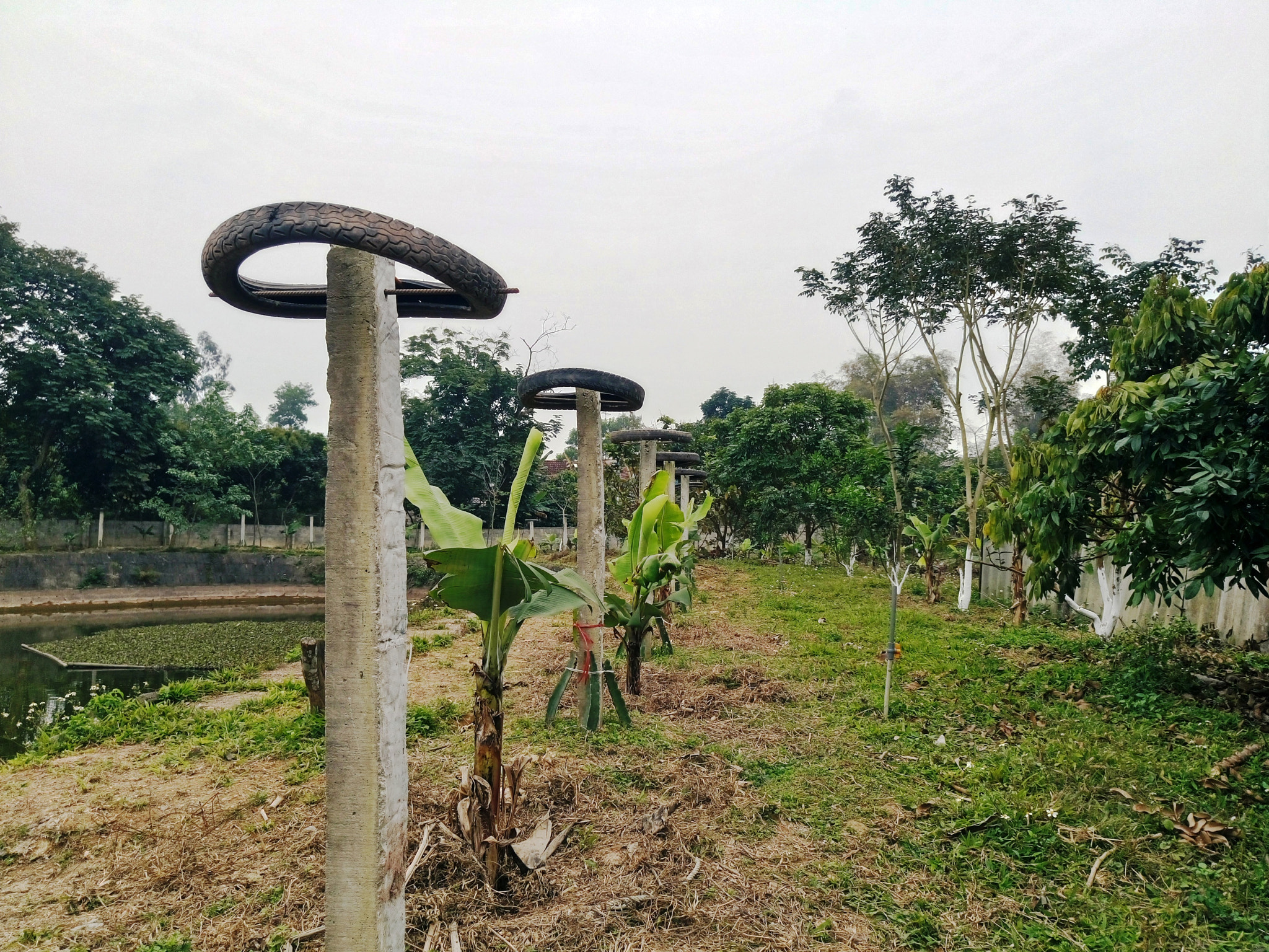 Sony Xperia M5 Dual sample photo. 25128200175.jpg photography