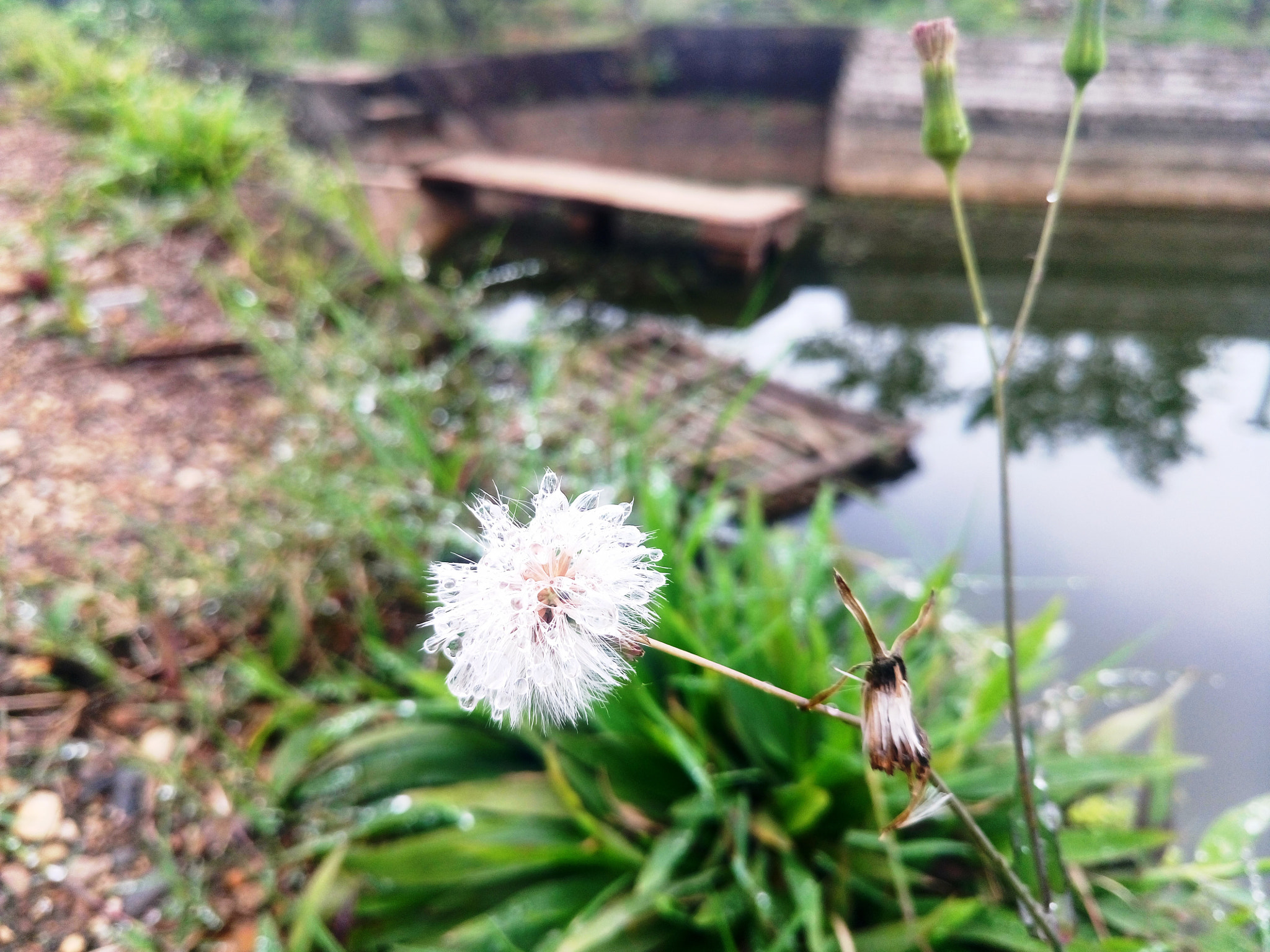 Sony Xperia M5 Dual sample photo. 25351531384.jpg photography