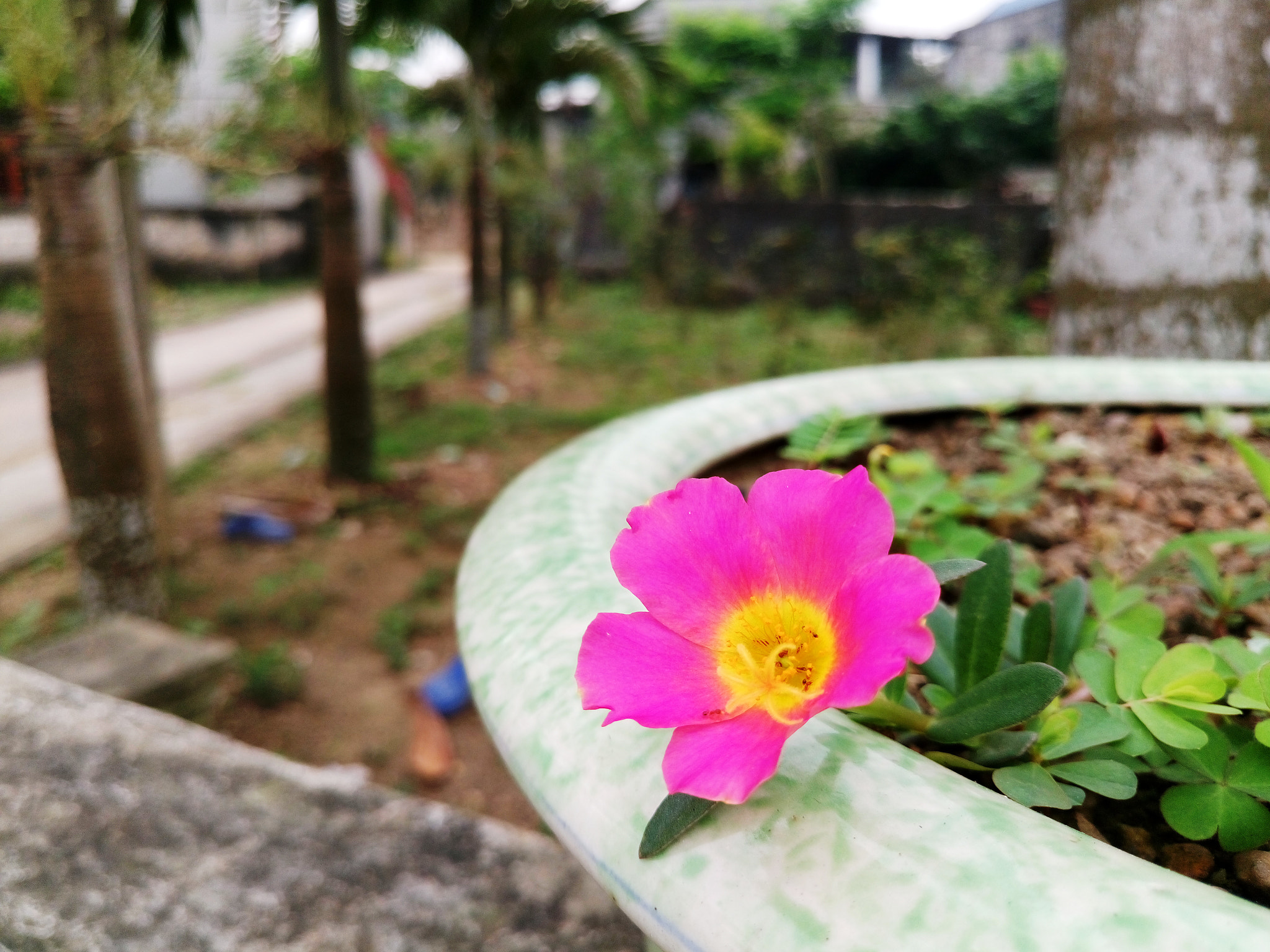 Sony Xperia M5 Dual sample photo. 26145529194.jpg photography