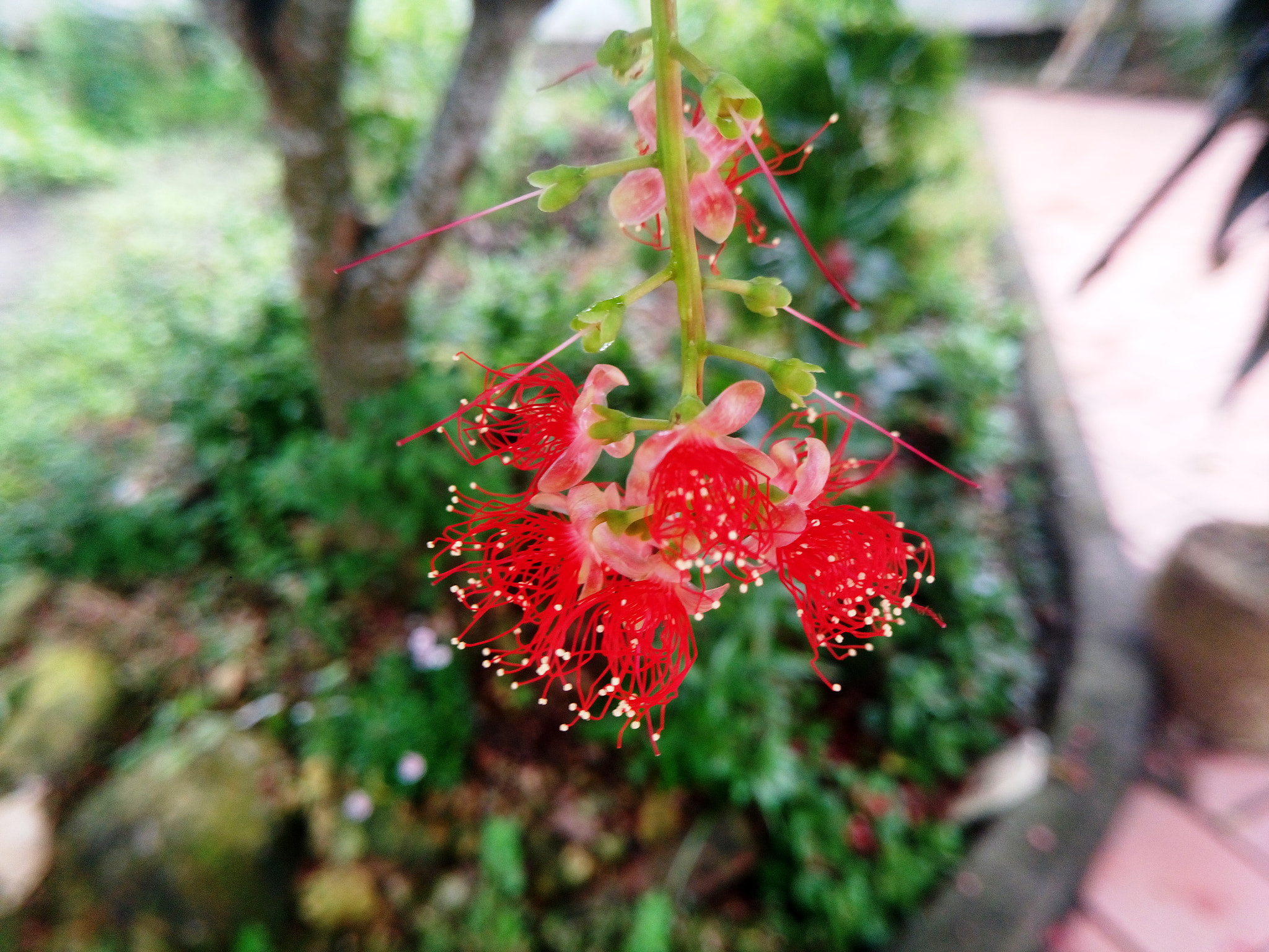 Sony Xperia M5 Dual sample photo. 28904281491.jpg photography