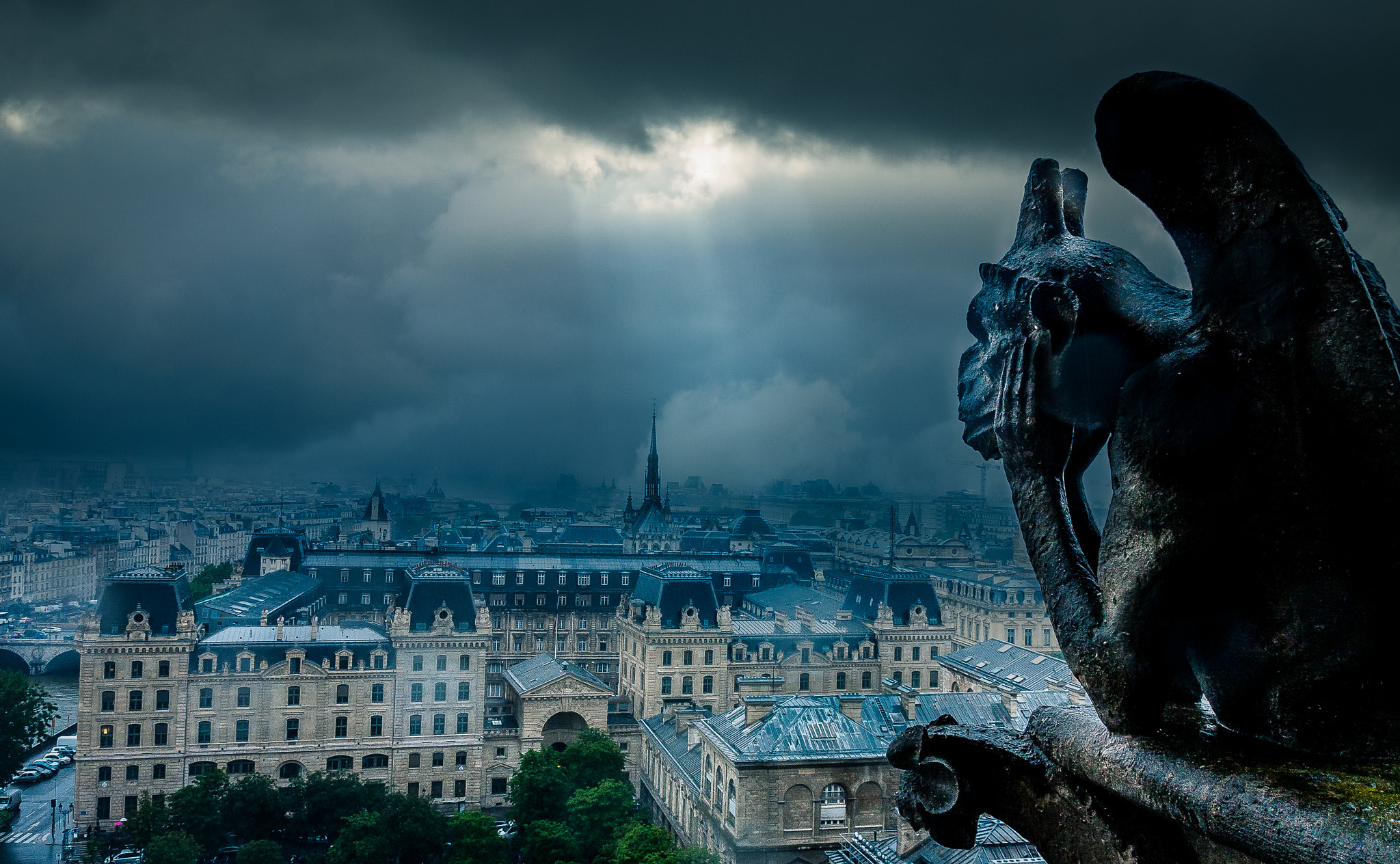Sigma 18-250mm F3.5-6.3 DC OS HSM sample photo. Gargoyle over paris photography