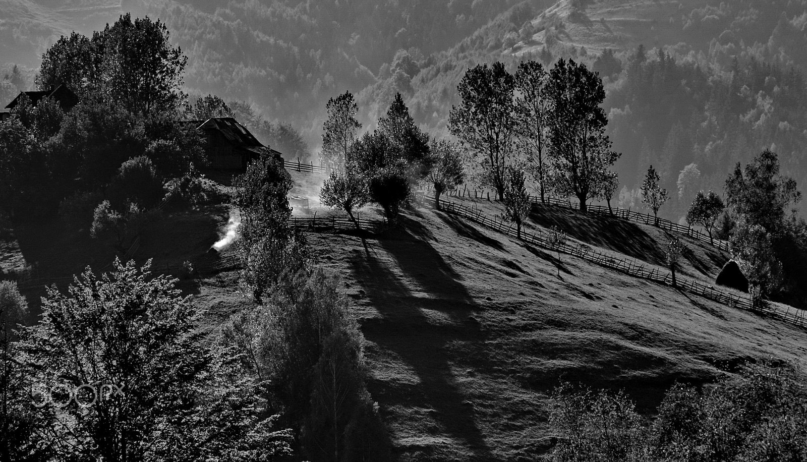 Sony Alpha DSLR-A200 sample photo. Shadows to  sunset photography
