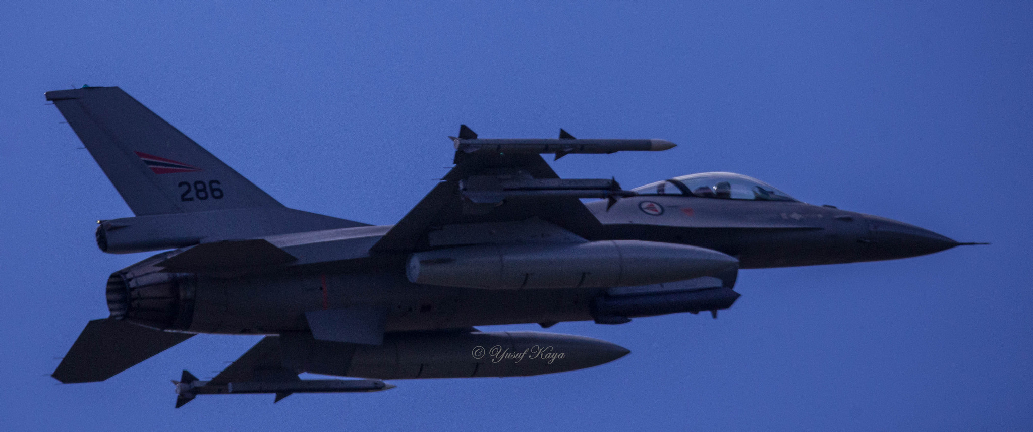 150-600mm F5-6.3 DG OS HSM | Contemporary 015 sample photo. F16 photography