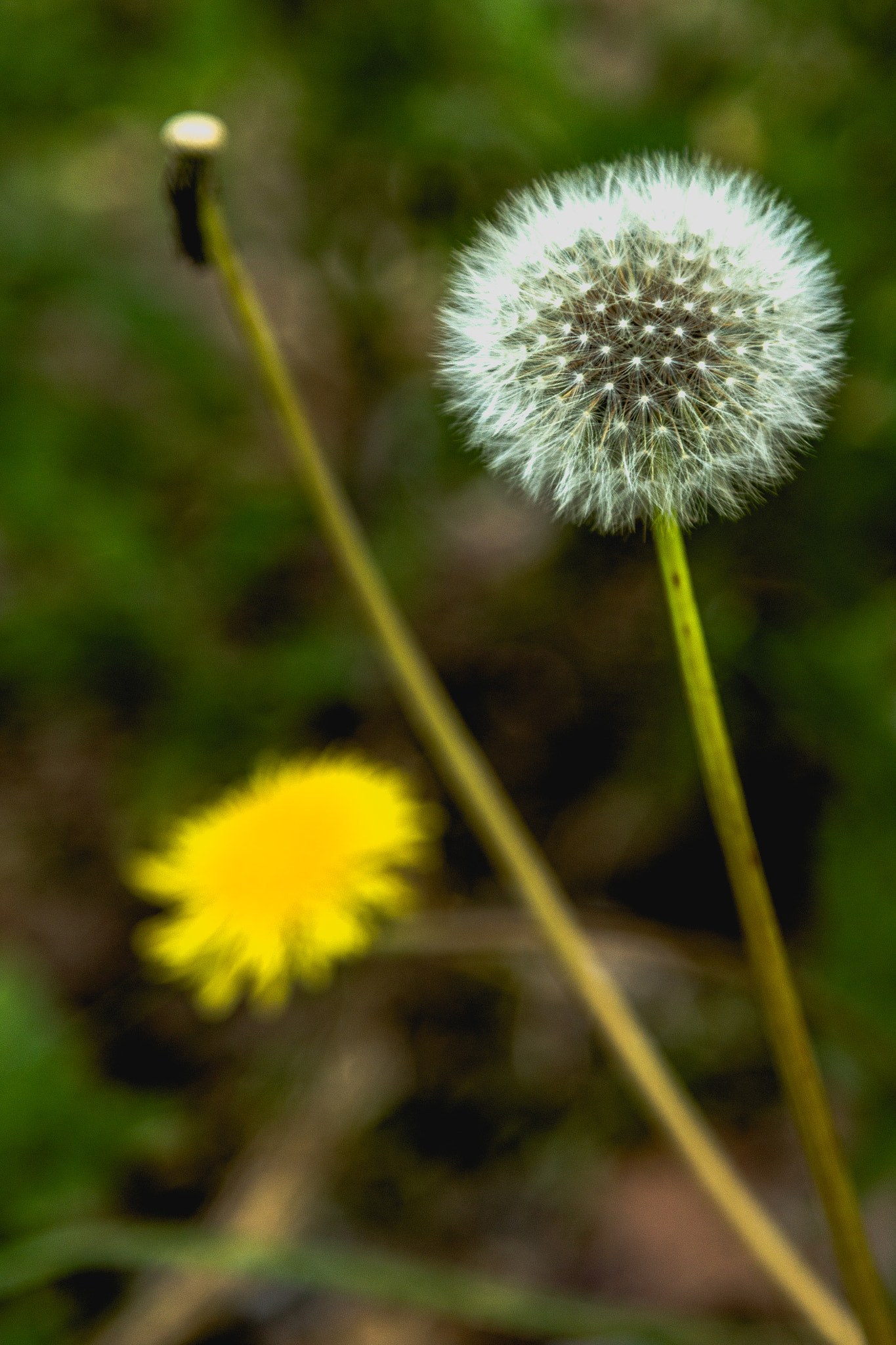 Canon EOS 1200D (EOS Rebel T5 / EOS Kiss X70 / EOS Hi) sample photo. Img photography