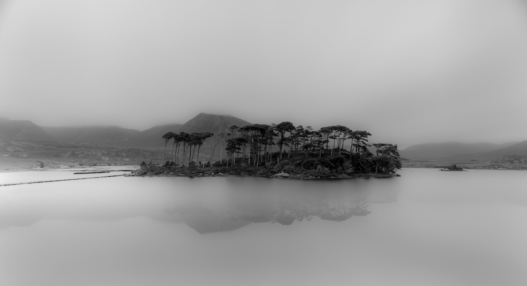 AF Nikkor 18mm f/2.8D sample photo. Pine tree island photography