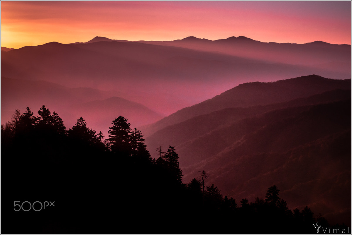 Canon EOS 500D (EOS Rebel T1i / EOS Kiss X3) sample photo. Sunrise hues.... photography