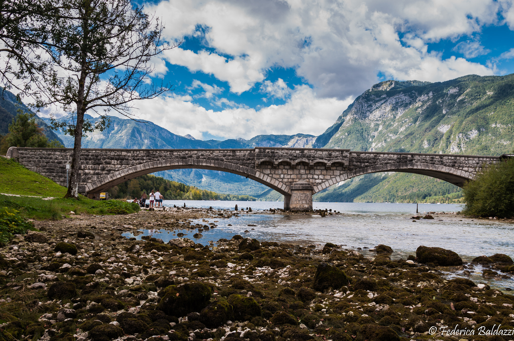 Nikon AF-S Nikkor 24-120mm F4G ED VR sample photo. Bohinj lake, slovenia  photography