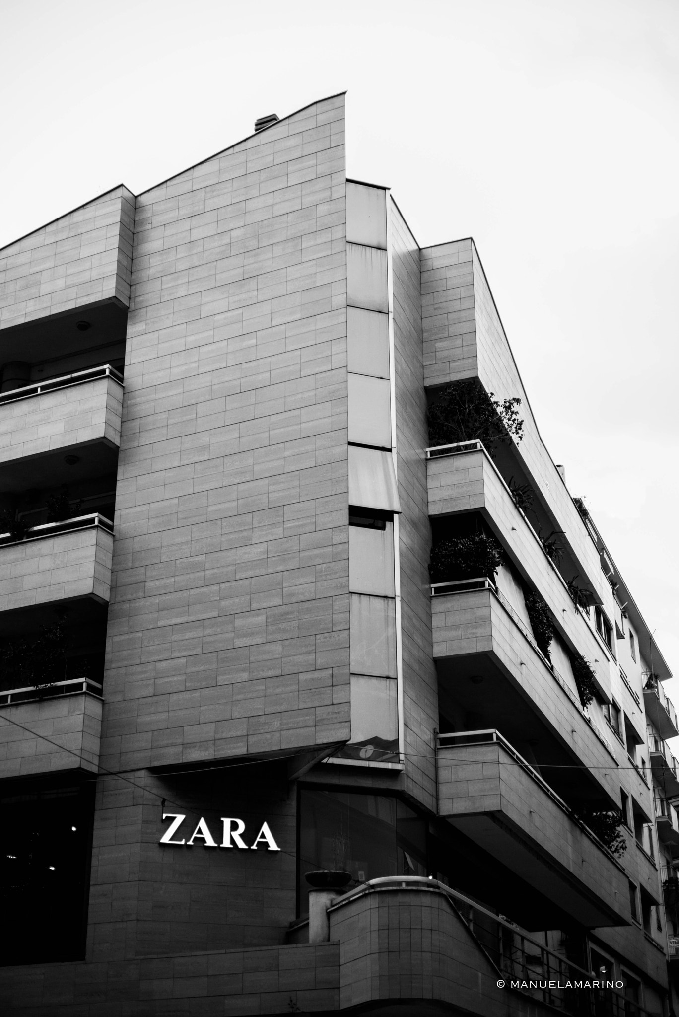 Leica Summarit-M 50mm F2.5 sample photo. Zara photography