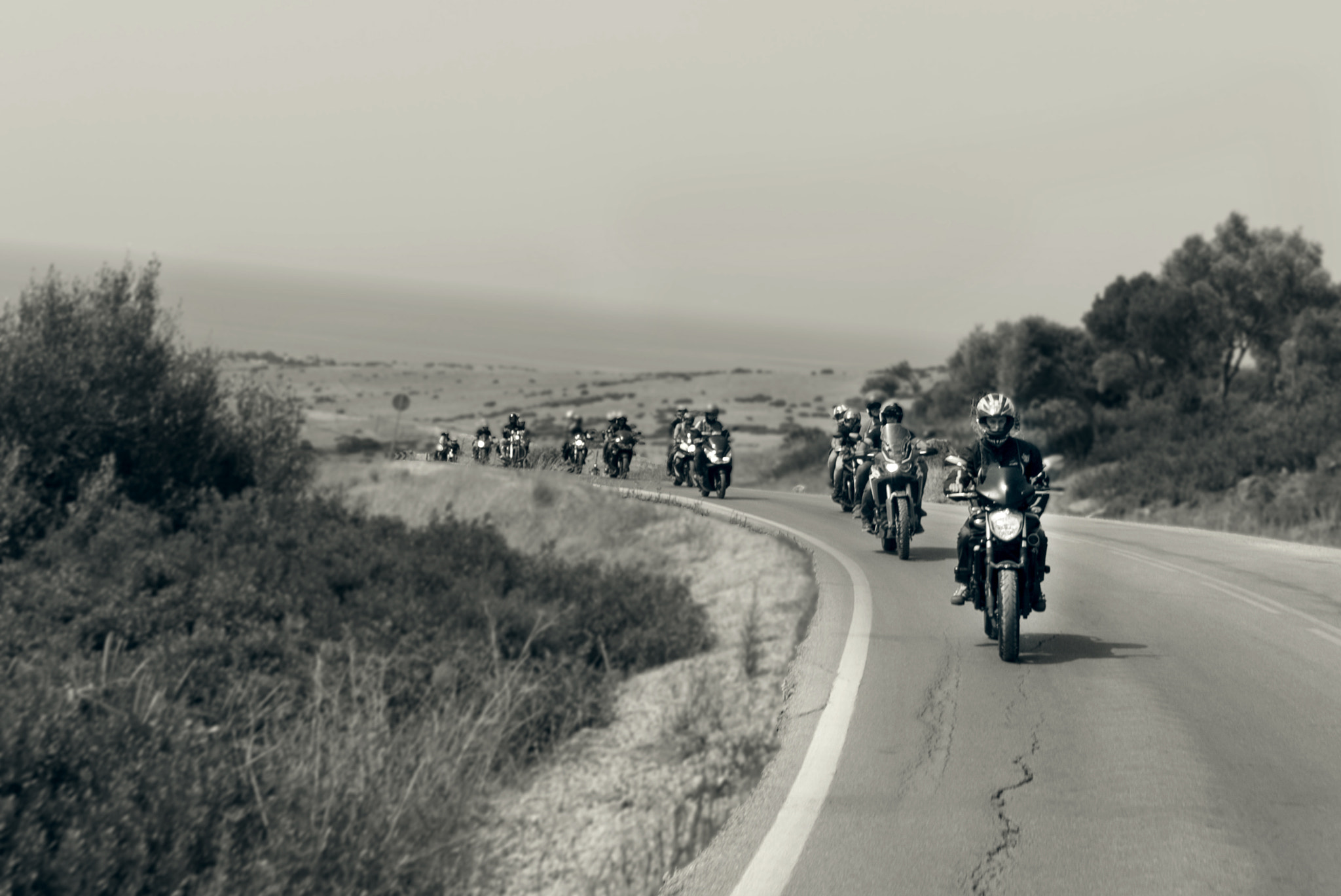 Canon EF-S 18-55mm F3.5-5.6 II sample photo. Ruta delfines 2016 _1 photography