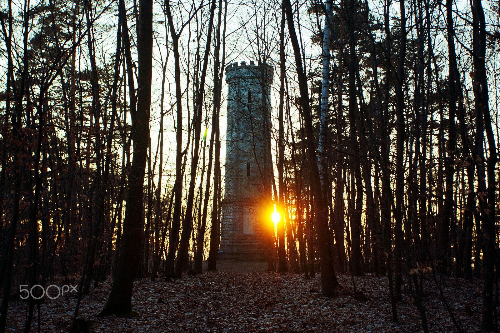 Canon EOS-1D Mark III sample photo. Tower photography