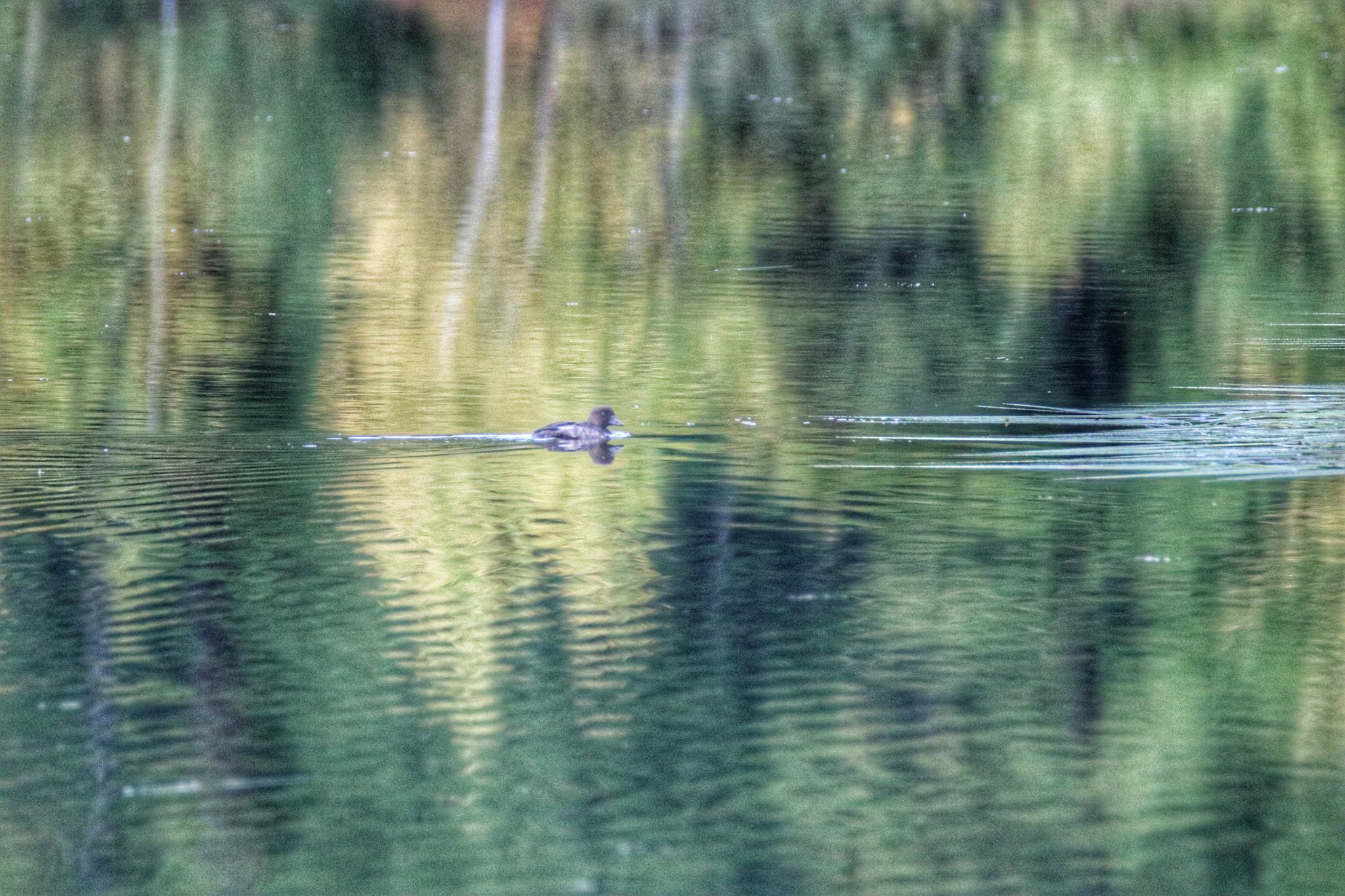 Canon EOS 750D (EOS Rebel T6i / EOS Kiss X8i) sample photo. Beautiful lake photography