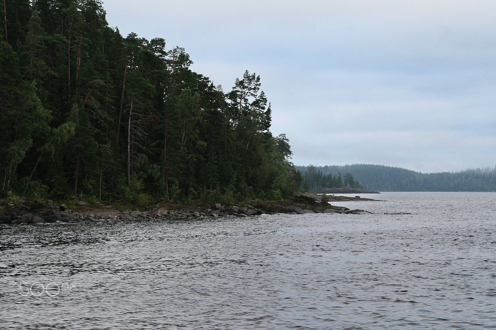 Canon EOS 1000D (EOS Digital Rebel XS / EOS Kiss F) sample photo. Forest coast photography