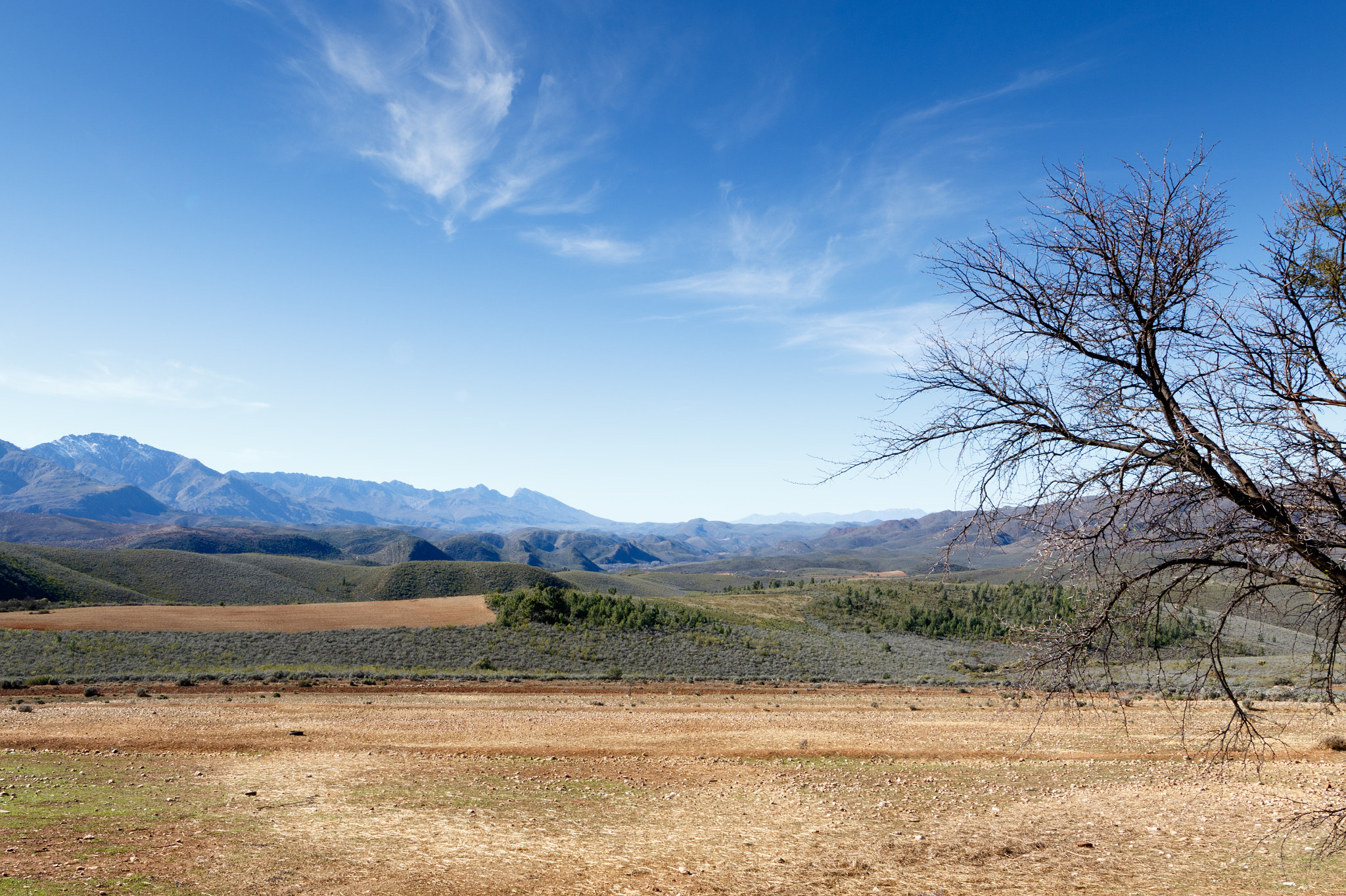 Canon EF 300mm f/2.8L sample photo. Clouds are talking to trees in the swartberg nature reserve photography