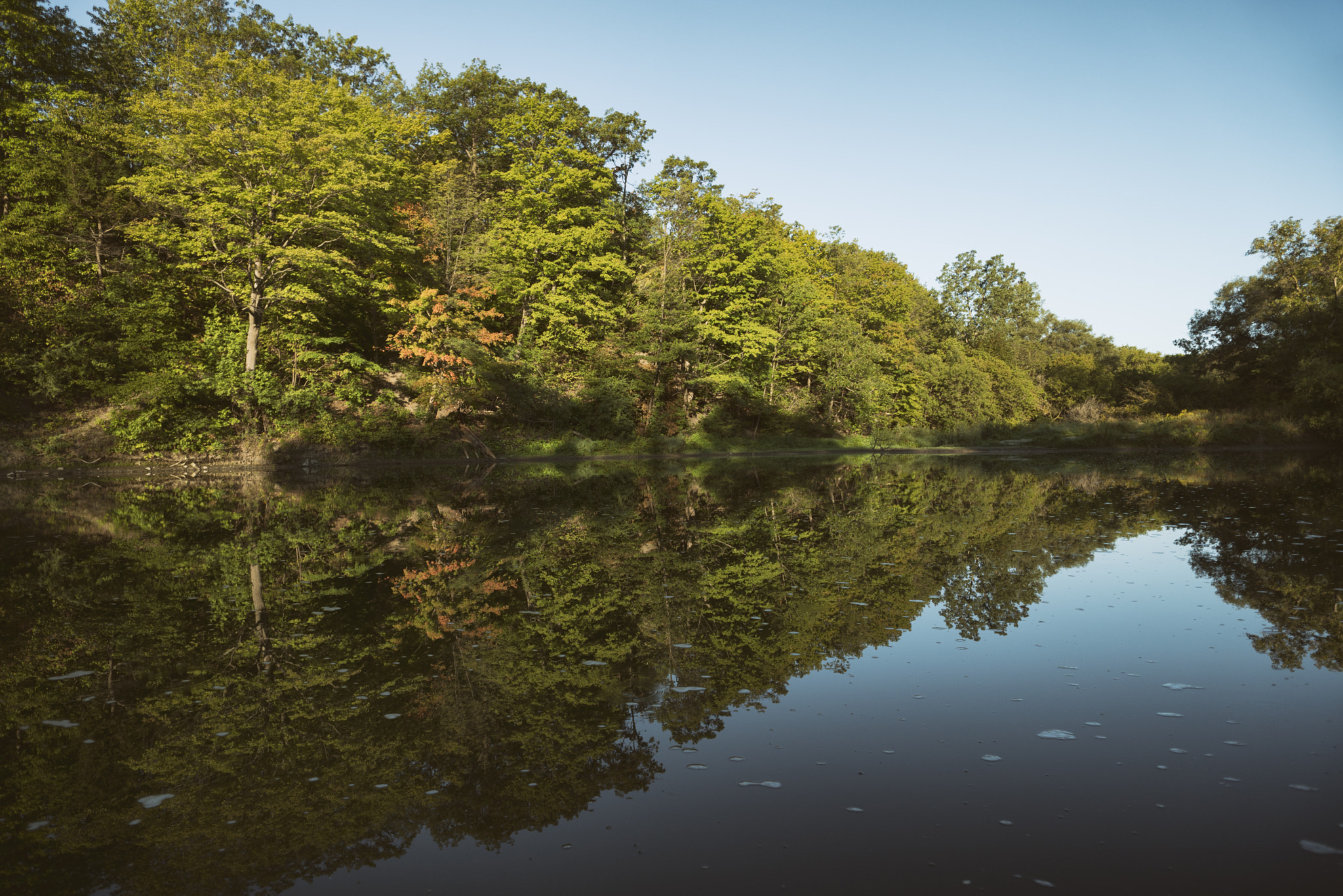 ZEISS Touit 12mm F2.8 sample photo. Humber river, toronto | ontario photography
