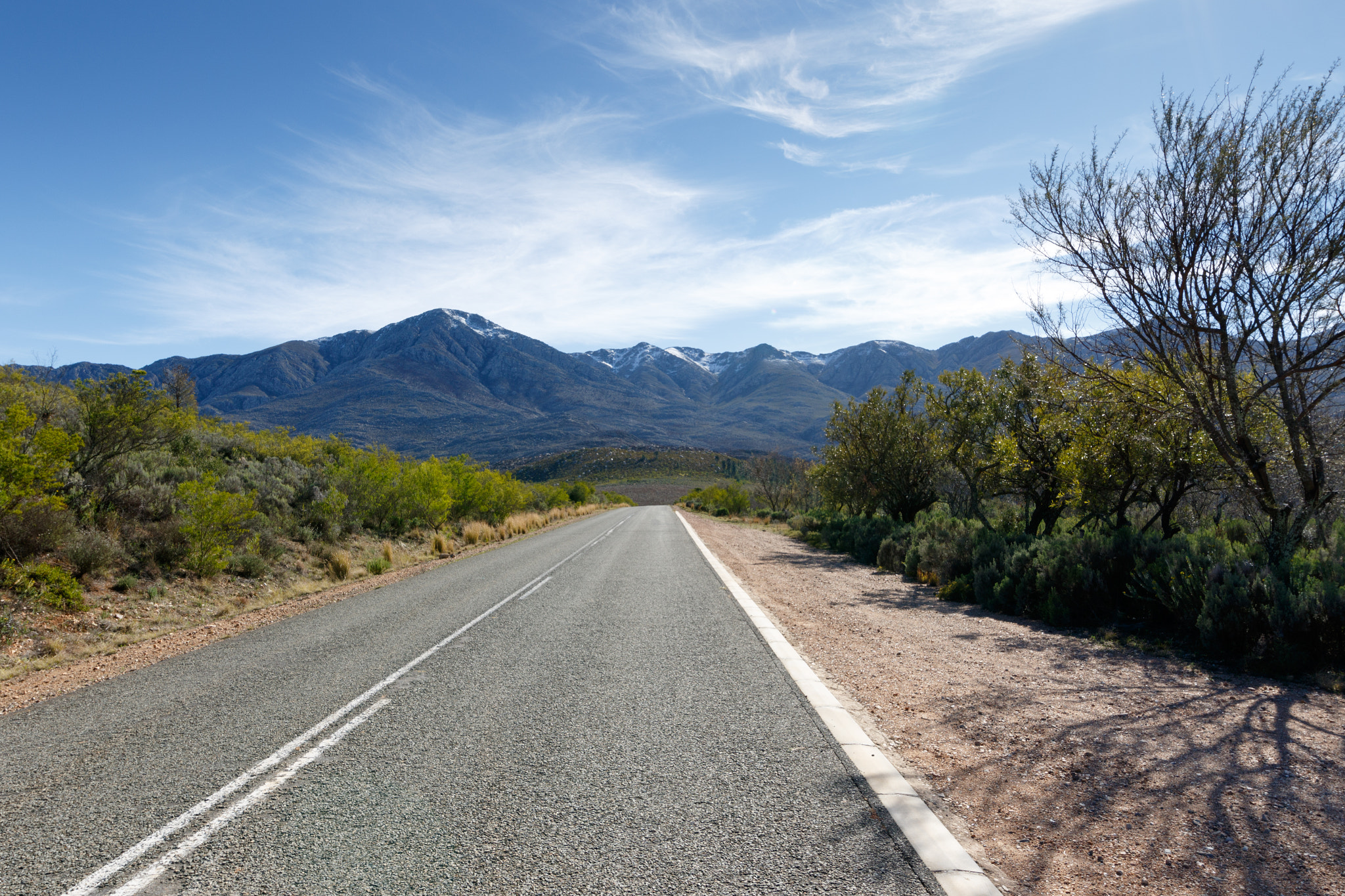 Canon EF 300mm f/2.8L sample photo. Snow - swartberg nature reserve photography
