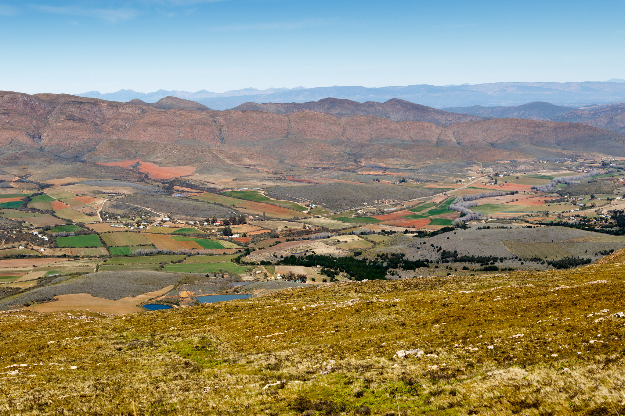 Canon EF 300mm f/2.8L sample photo. Lappiesland - swartberg nature reserve photography