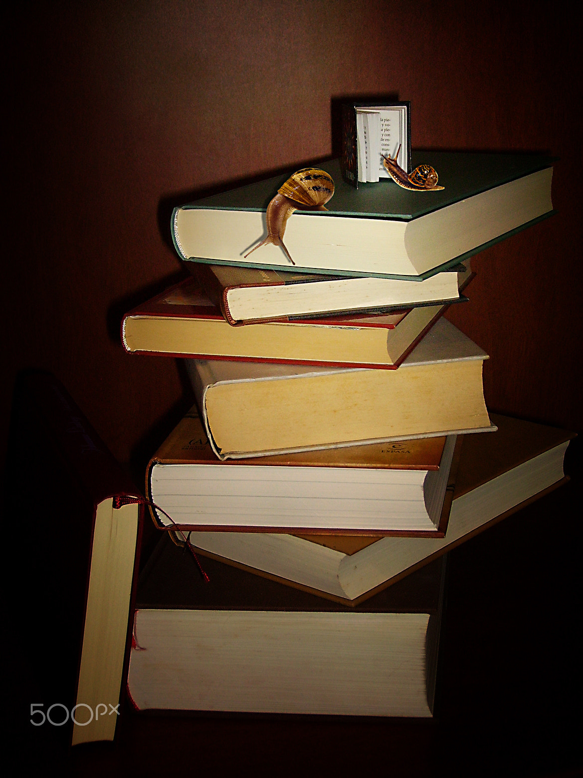 Pentax OPTIO 50L sample photo. Slowly learning - poco a poc photography