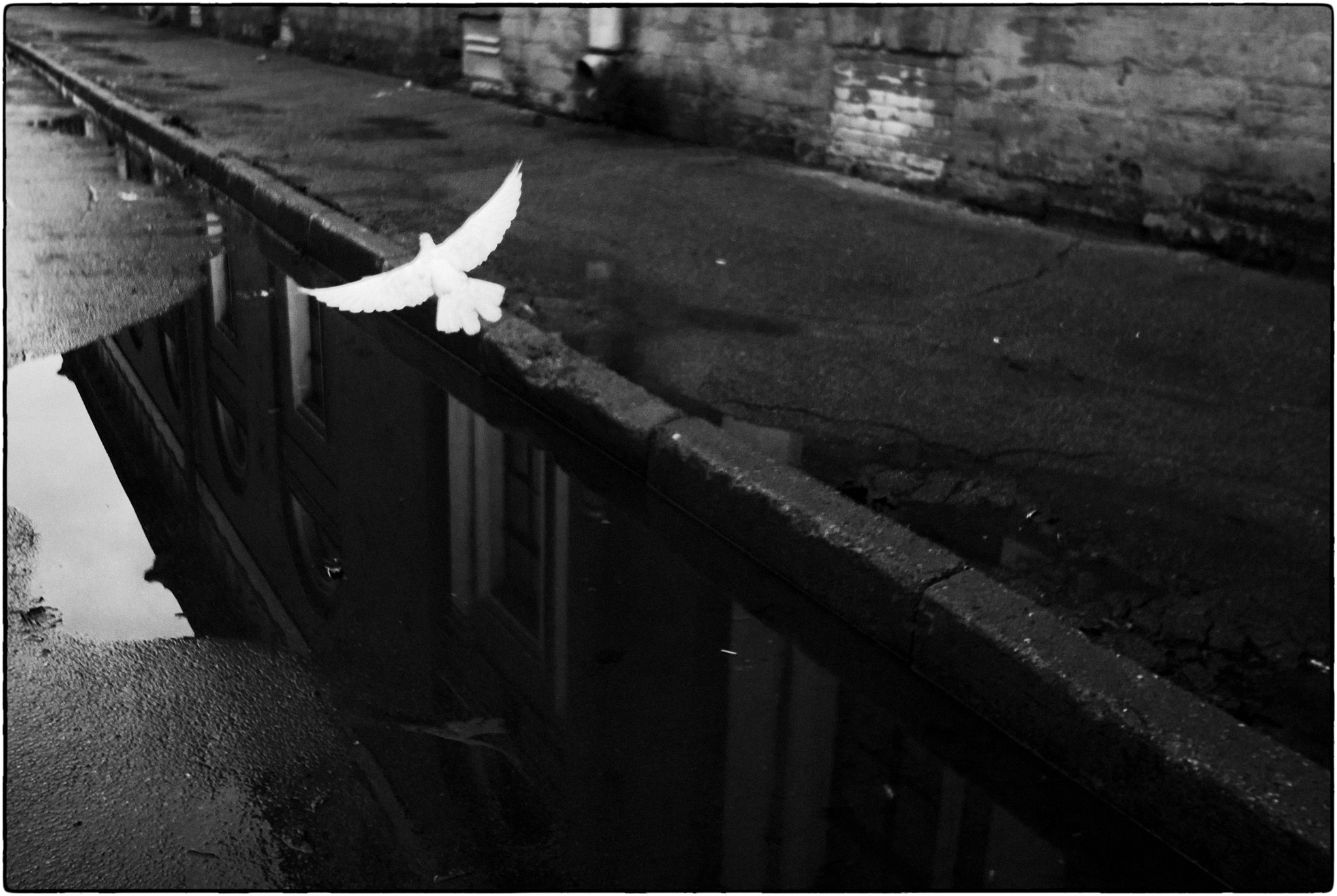 Sony Alpha NEX-5 + Sony E 16mm F2.8 sample photo. "flying along the diagonal" photography