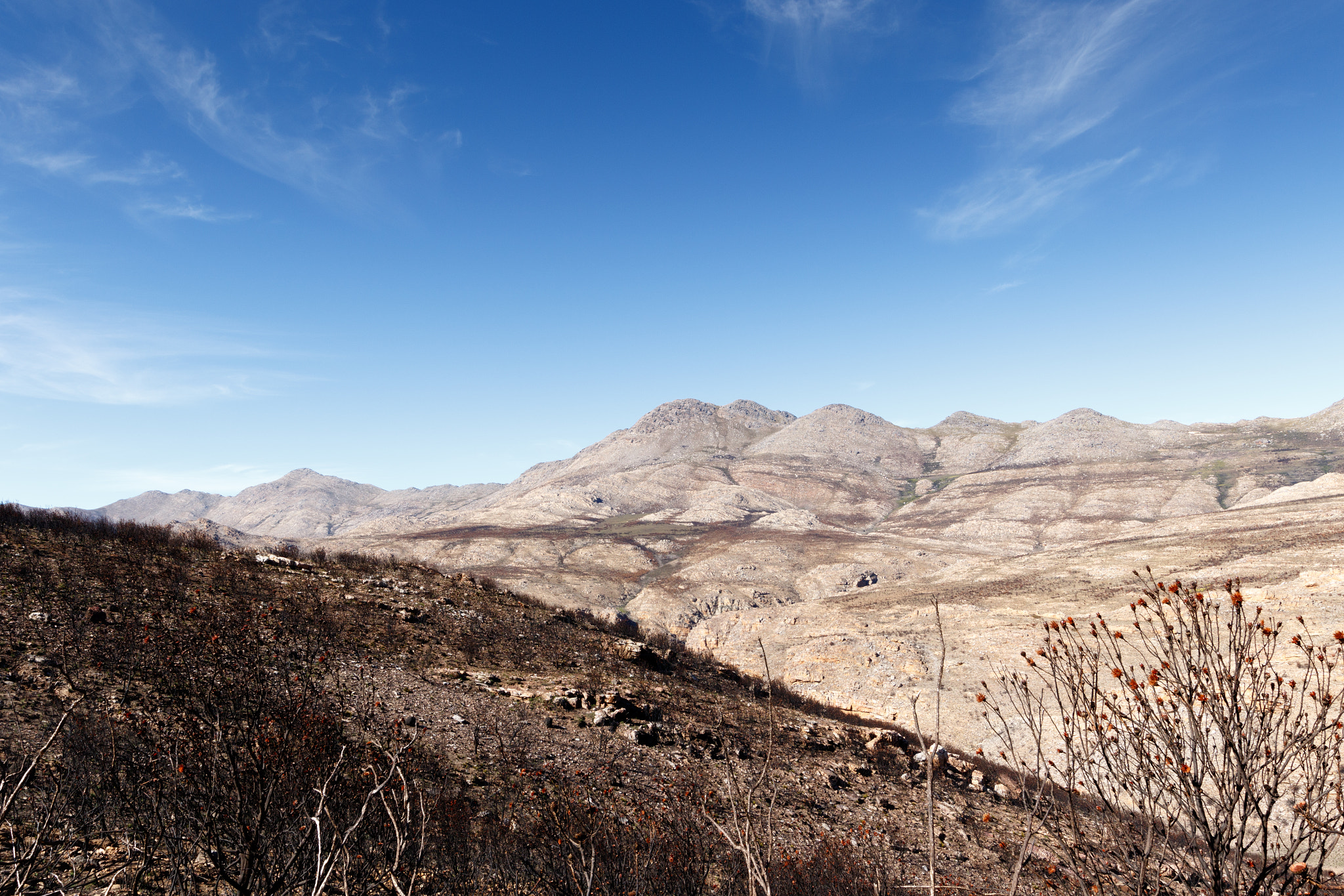 Canon EOS 7D Mark II + Canon EF 300mm f/2.8L sample photo. Mountain - swartberg nature reserve photography