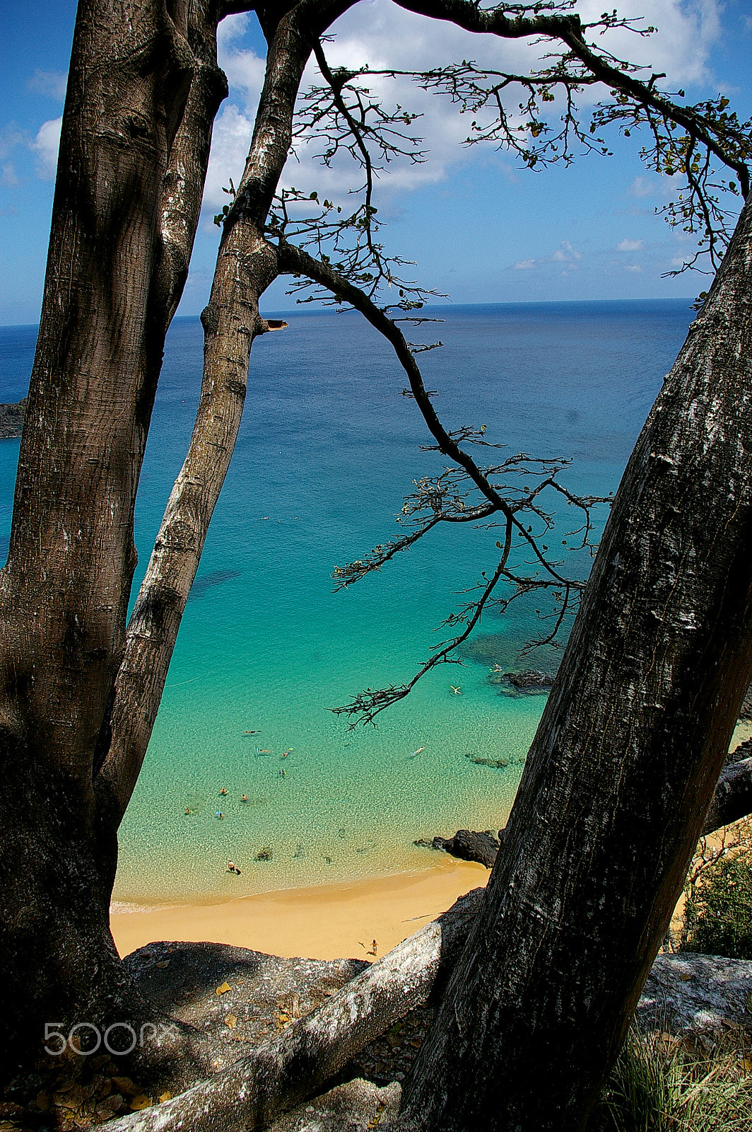 Pentax *ist DL sample photo. Fernando de noronha photography