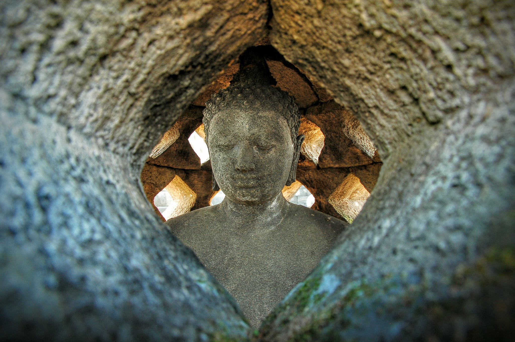 Nikon D50 sample photo. Hidden buddha photography