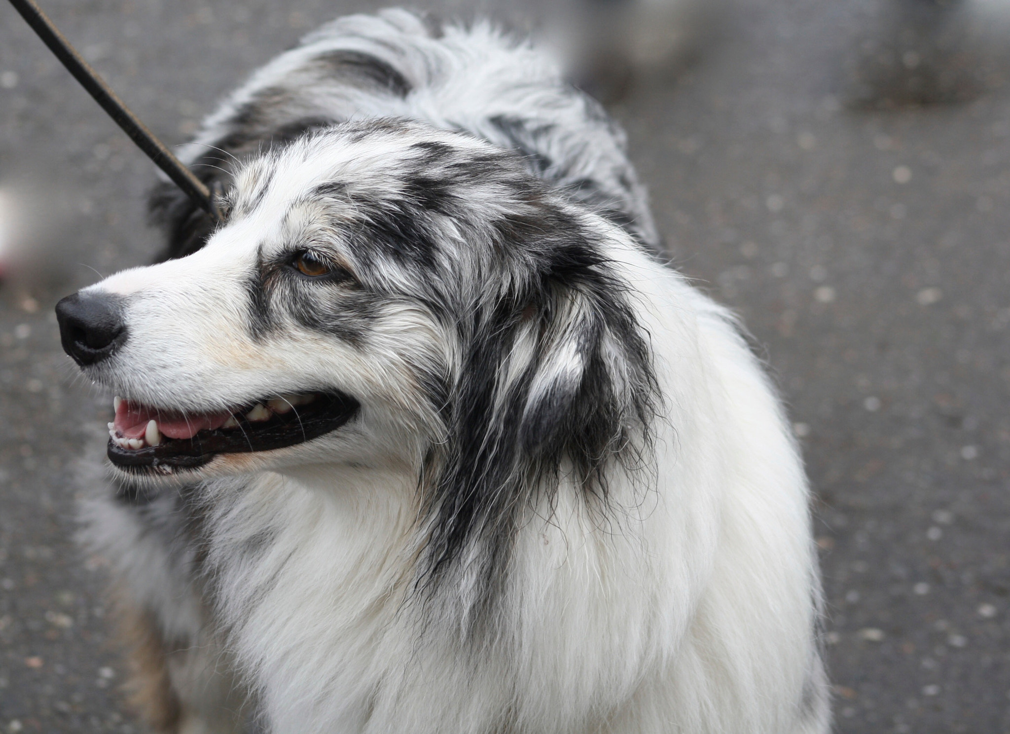 Canon EF 75-300mm f/4-5.6 USM sample photo. Total stranger, but significant photography