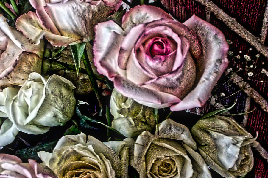 Kodak DX3600 DIGITAL CAMERA sample photo. A rose by any other name photography