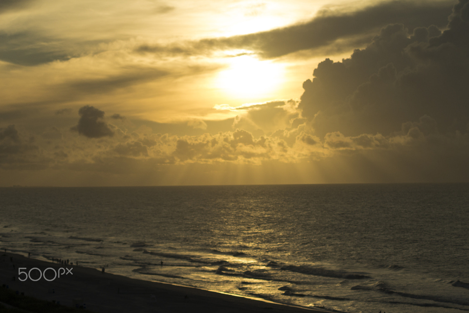 Canon EOS 1100D (EOS Rebel T3 / EOS Kiss X50) sample photo. Gold sunrise photography