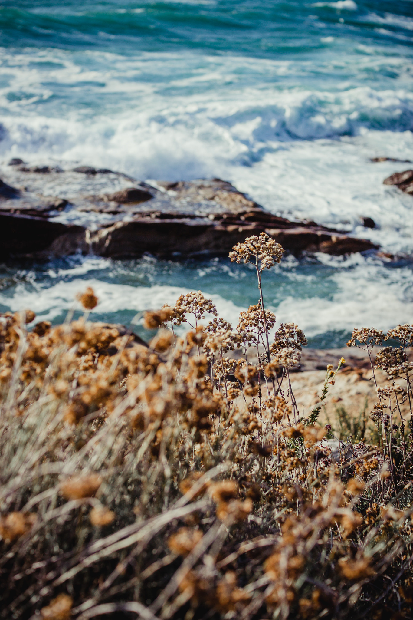 Sigma 30mm F1.4 EX DC HSM sample photo. Livorno, summer 2015. photography