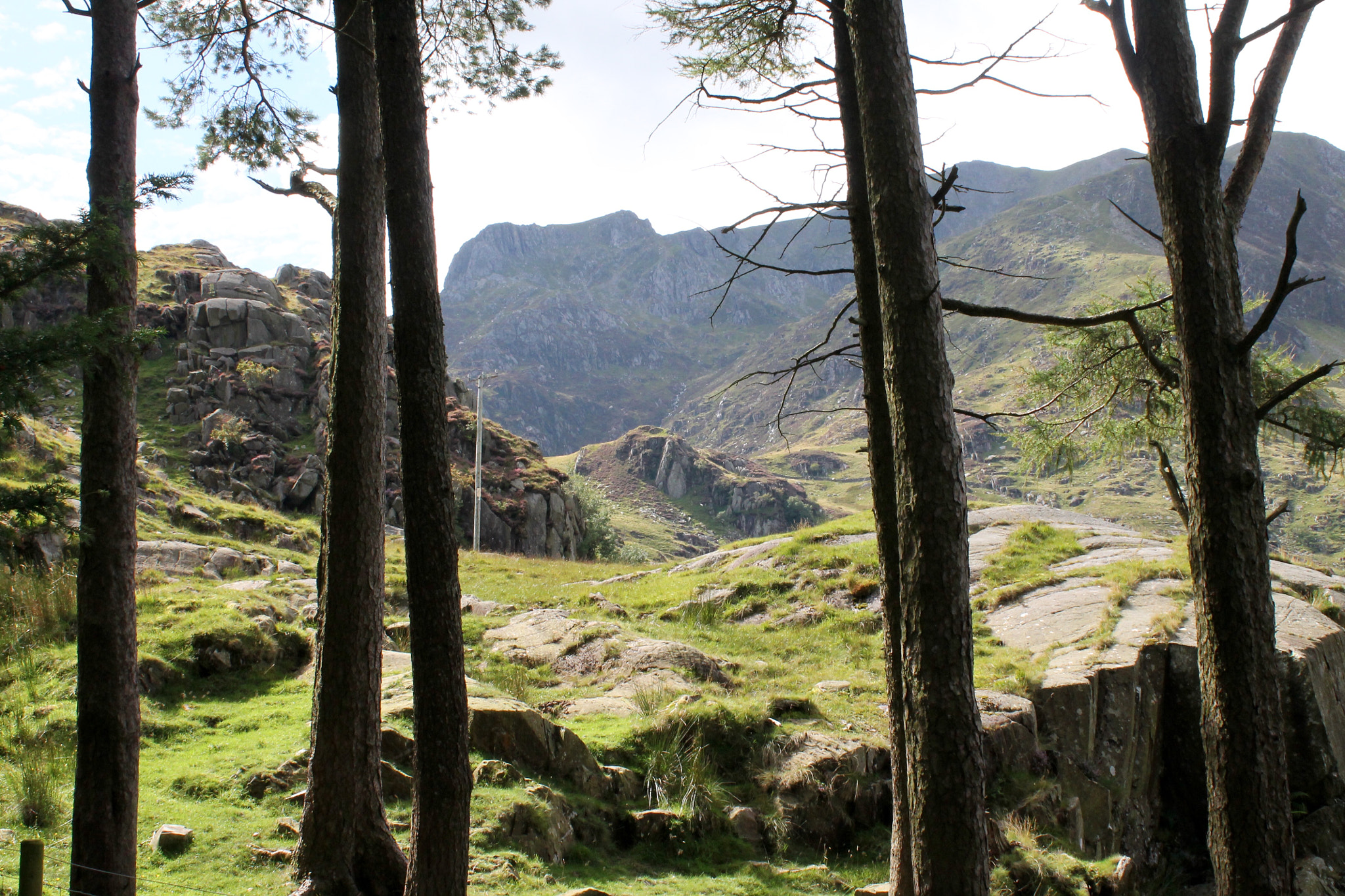 Canon EF-S 18-55mm F3.5-5.6 III sample photo. View through the pine tree approach to the fabulous ogwen valley on a glorious bank holiday monday photography