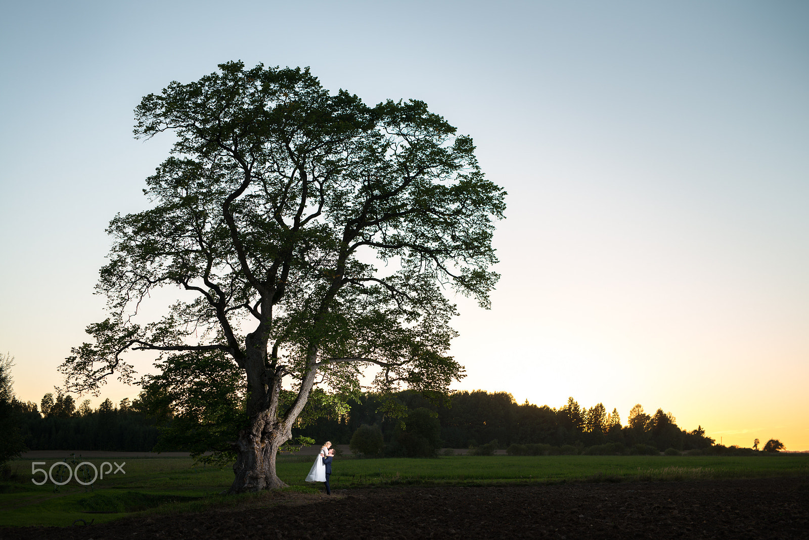 Nikon D800E + Sigma 50mm F1.4 DG HSM Art sample photo. V&b small export photography