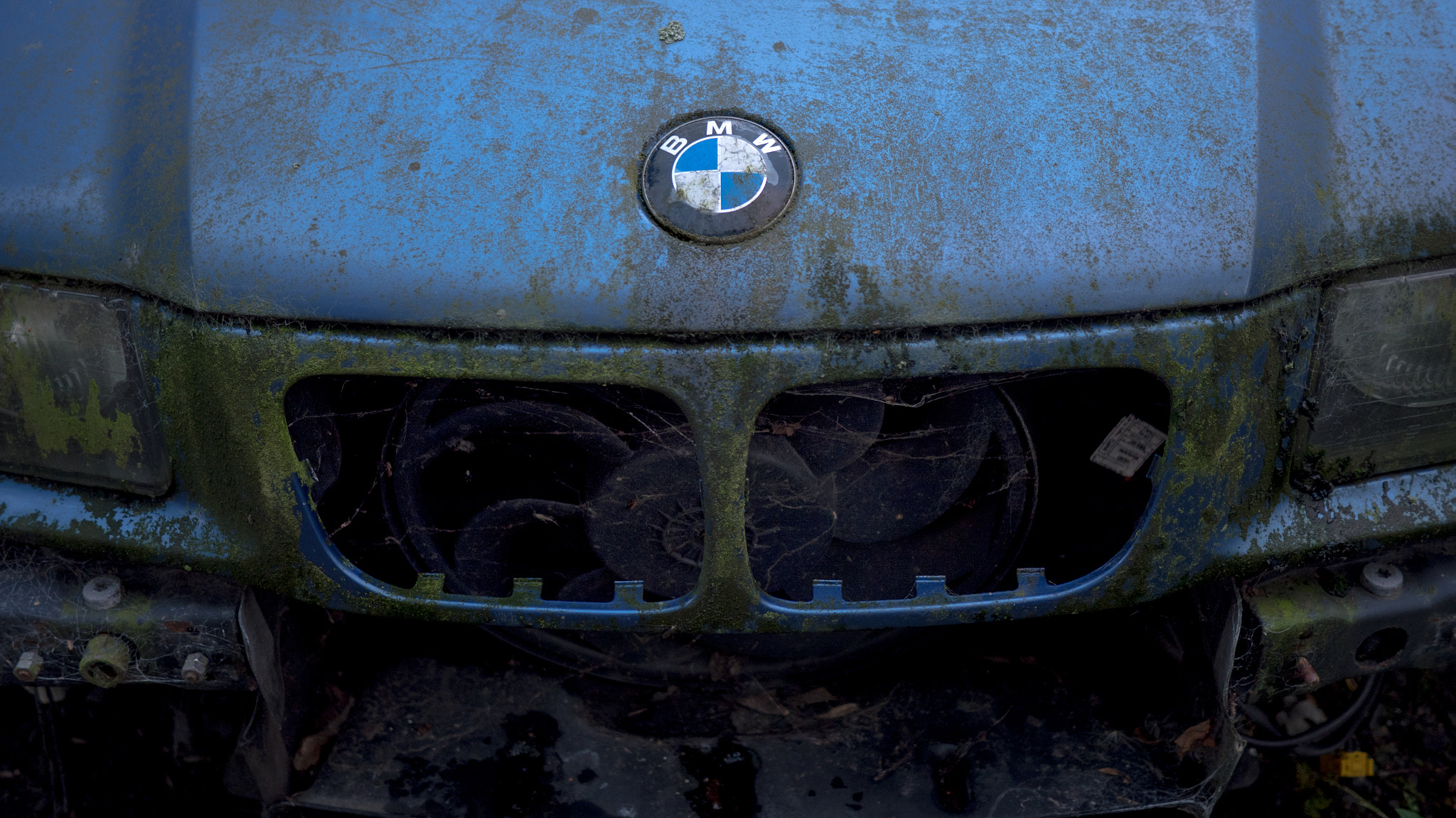 Panasonic Lumix DMC-GX8 + LUMIX G 20/F1.7 II sample photo. Bmw photography
