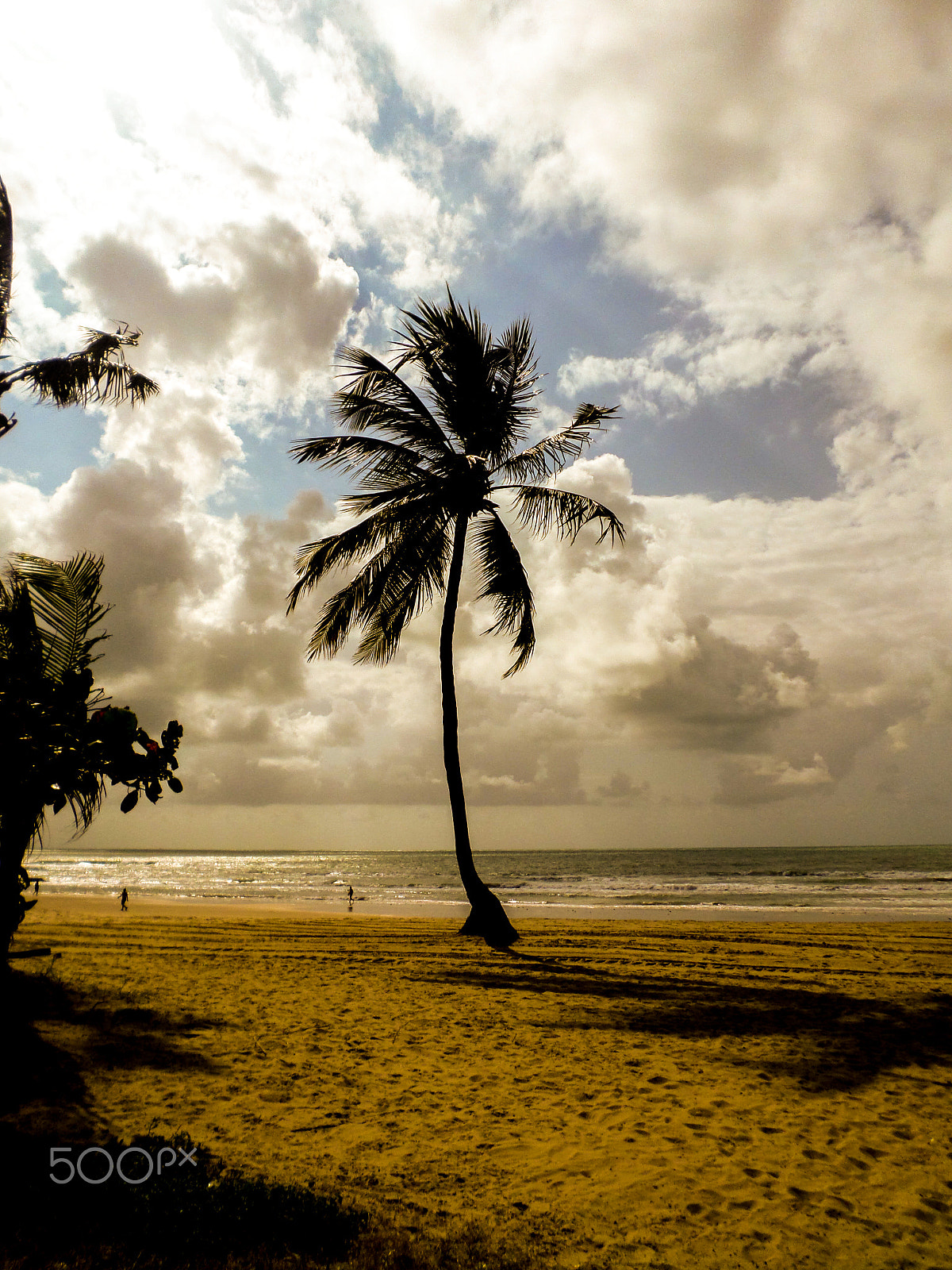 Samsung ST2014F sample photo. Boa viajem photography