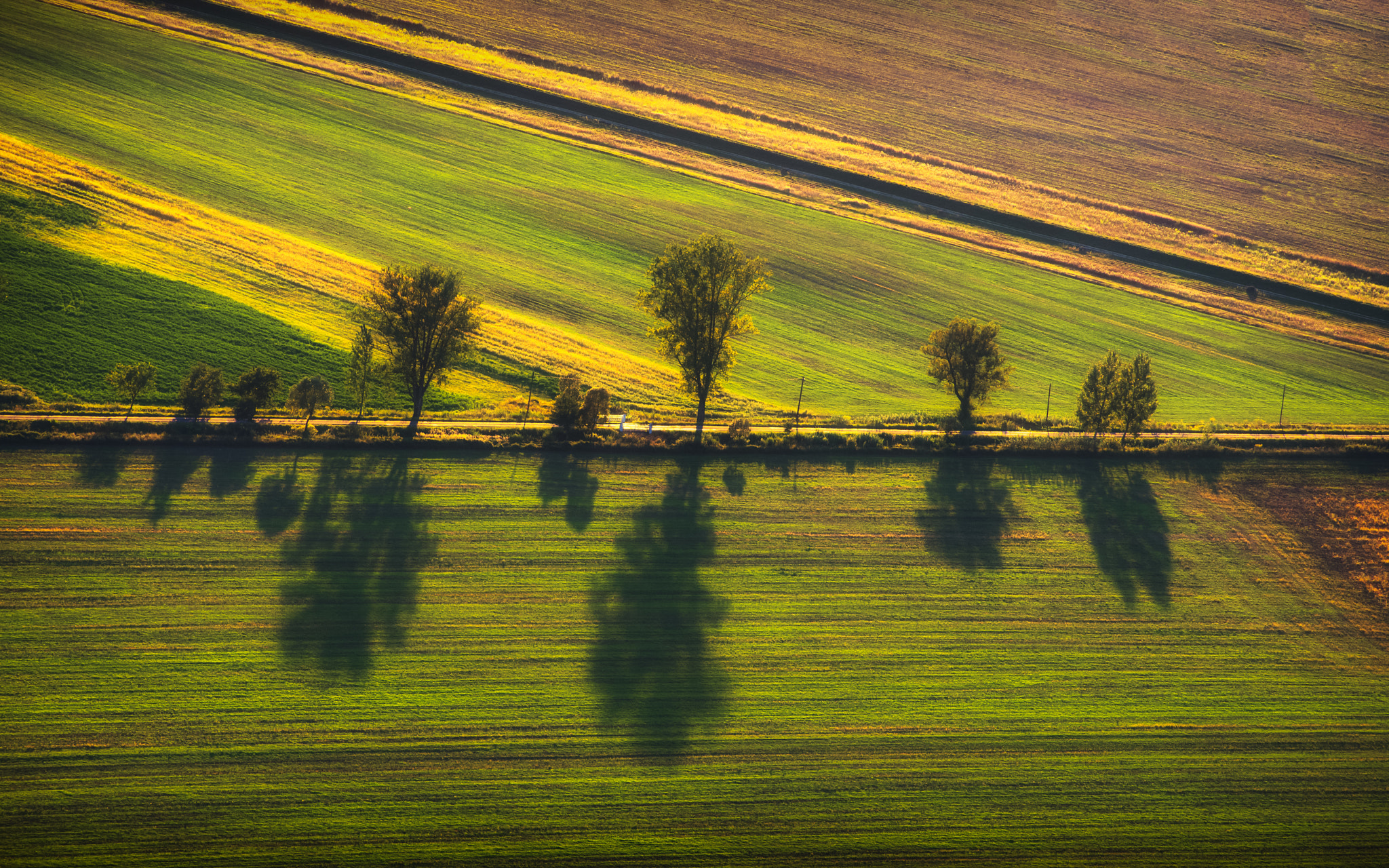 Nikon D600 + AF Nikkor 70-210mm f/4-5.6 sample photo. Lines and shadows photography