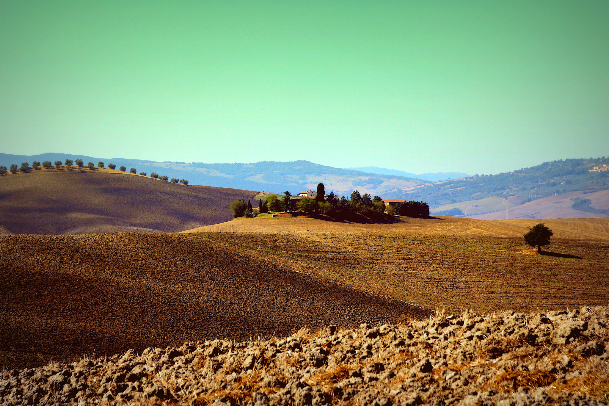 Canon EOS 760D (EOS Rebel T6s / EOS 8000D) sample photo. Coltivare la terra come un giardino. photography