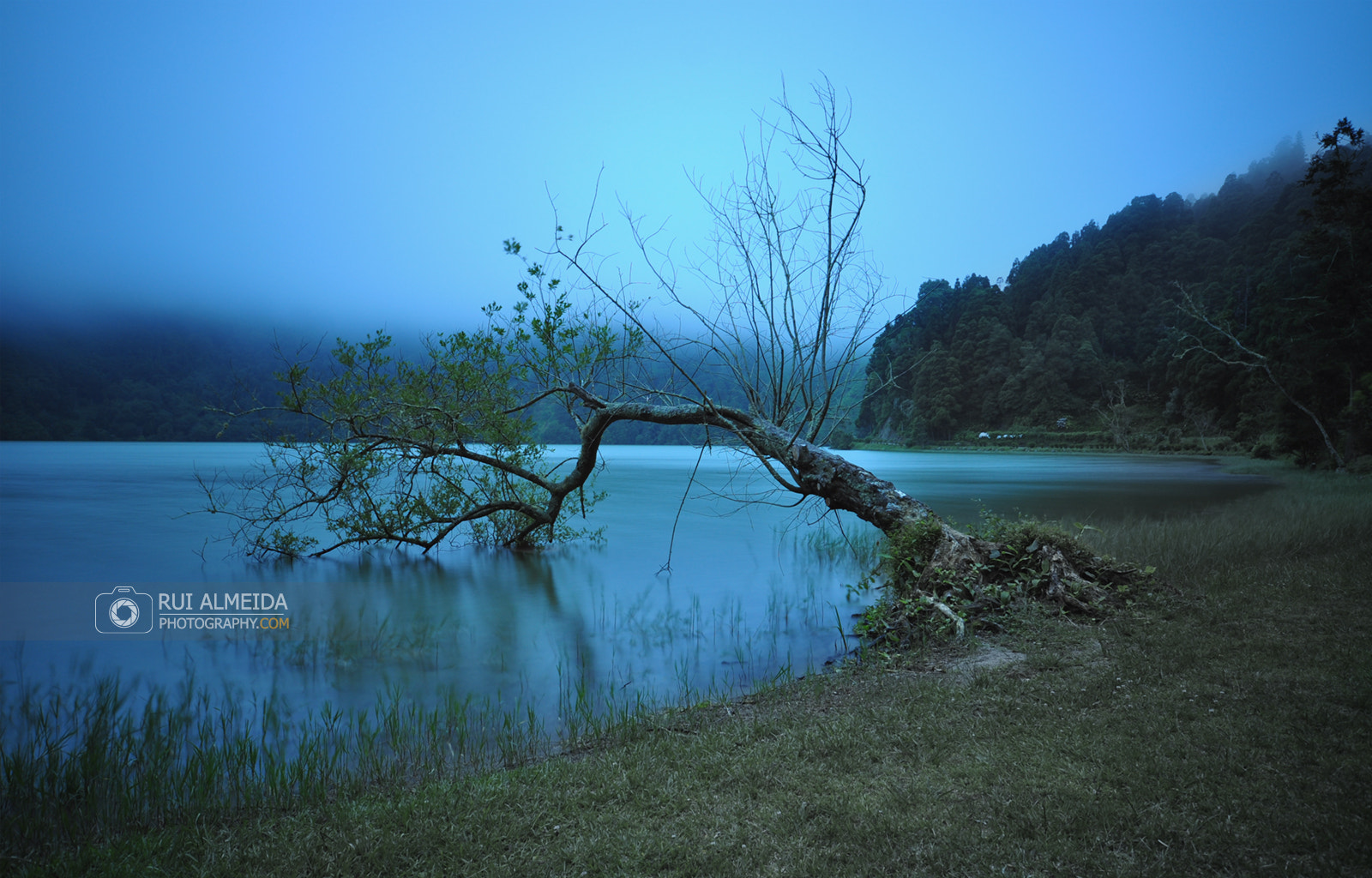 Sigma 10-20mm F4-5.6 EX DC HSM sample photo. I like to be alone, but i hate to be lonely photography