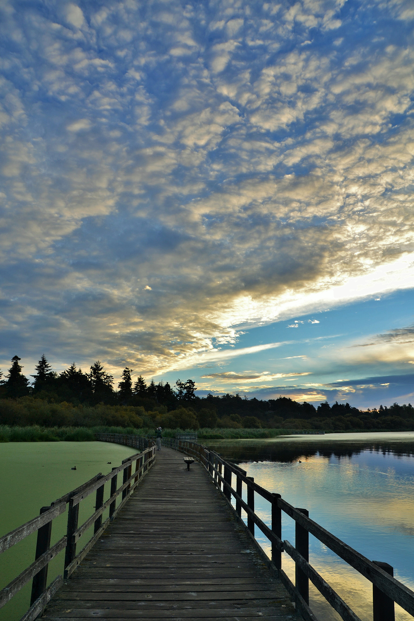 Nikon D3100 + Sigma 17-70mm F2.8-4 DC Macro OS HSM sample photo. Wooden boardwalk and fluffy morning clouds photography