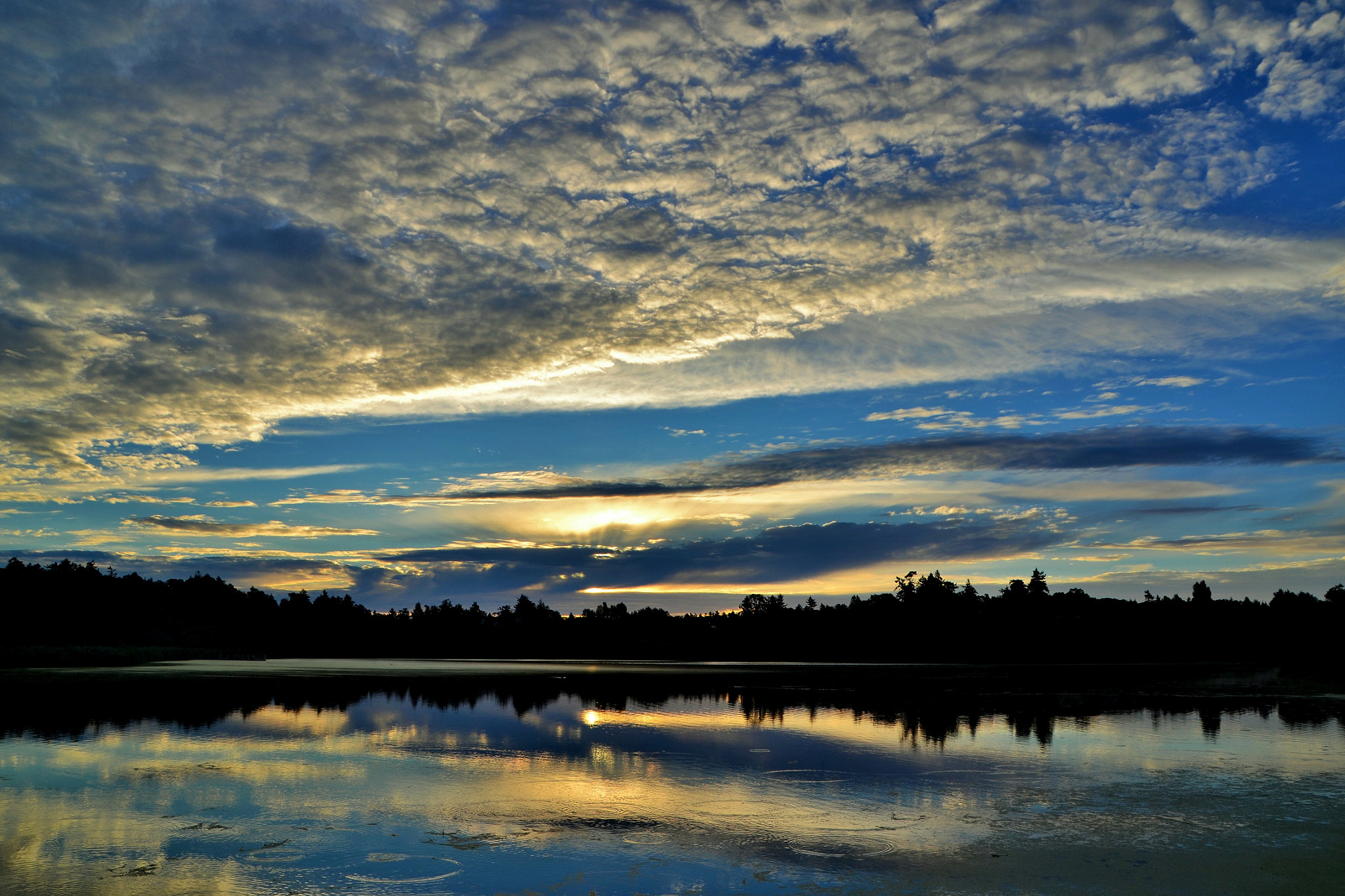Sigma 17-70mm F2.8-4 DC Macro OS HSM sample photo. Swanlake awakens under blue skies and fluffy cloud photography