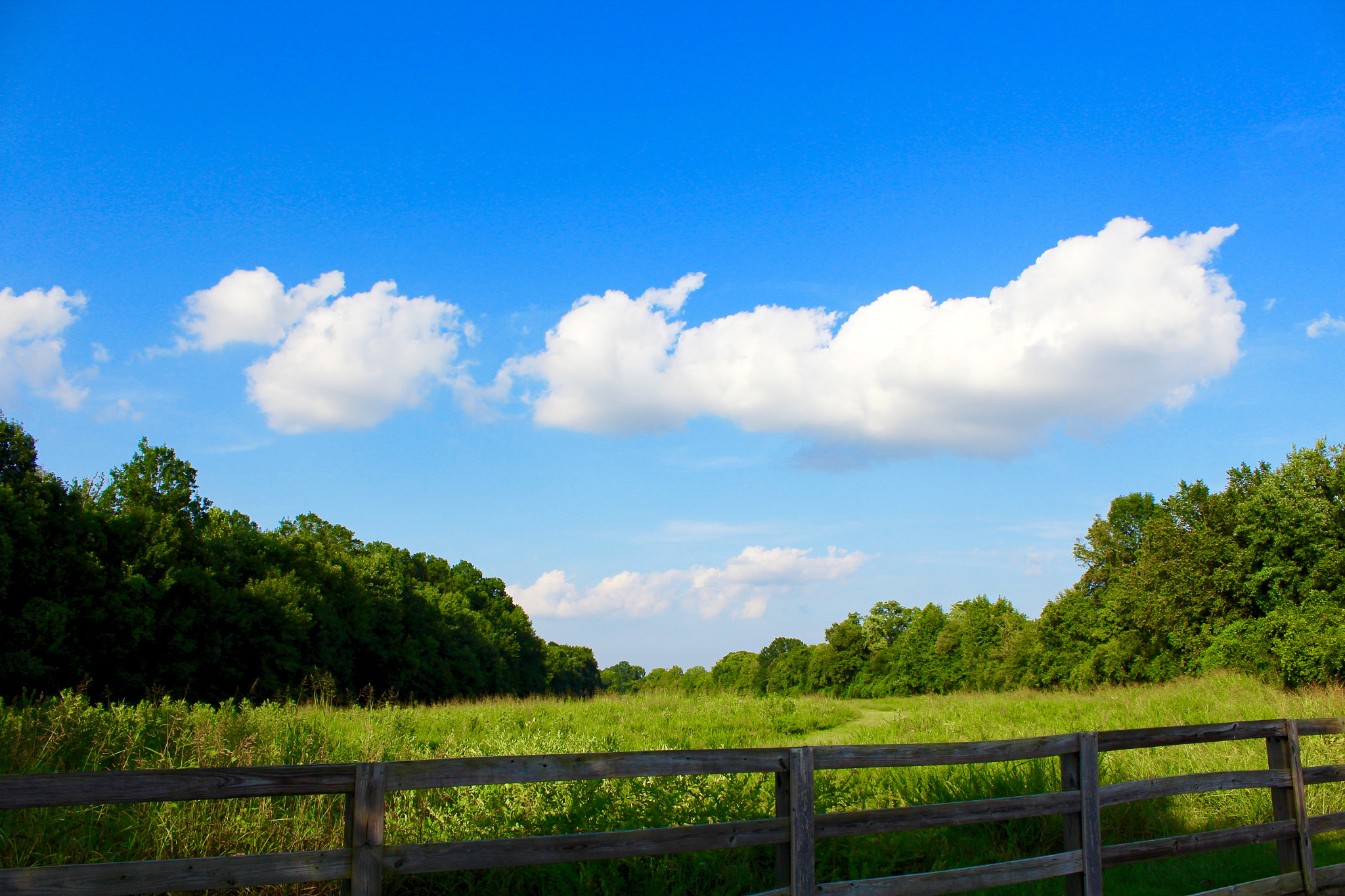 Canon EF-S 18-55mm F3.5-5.6 IS II sample photo. Sky photography